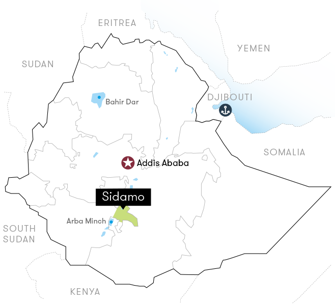 ETHIOPIA SIDAMO DAYE BENSA- Premium Roast