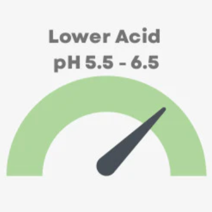 HONDURAS SHG EP - Italian Roast (Super Dark)