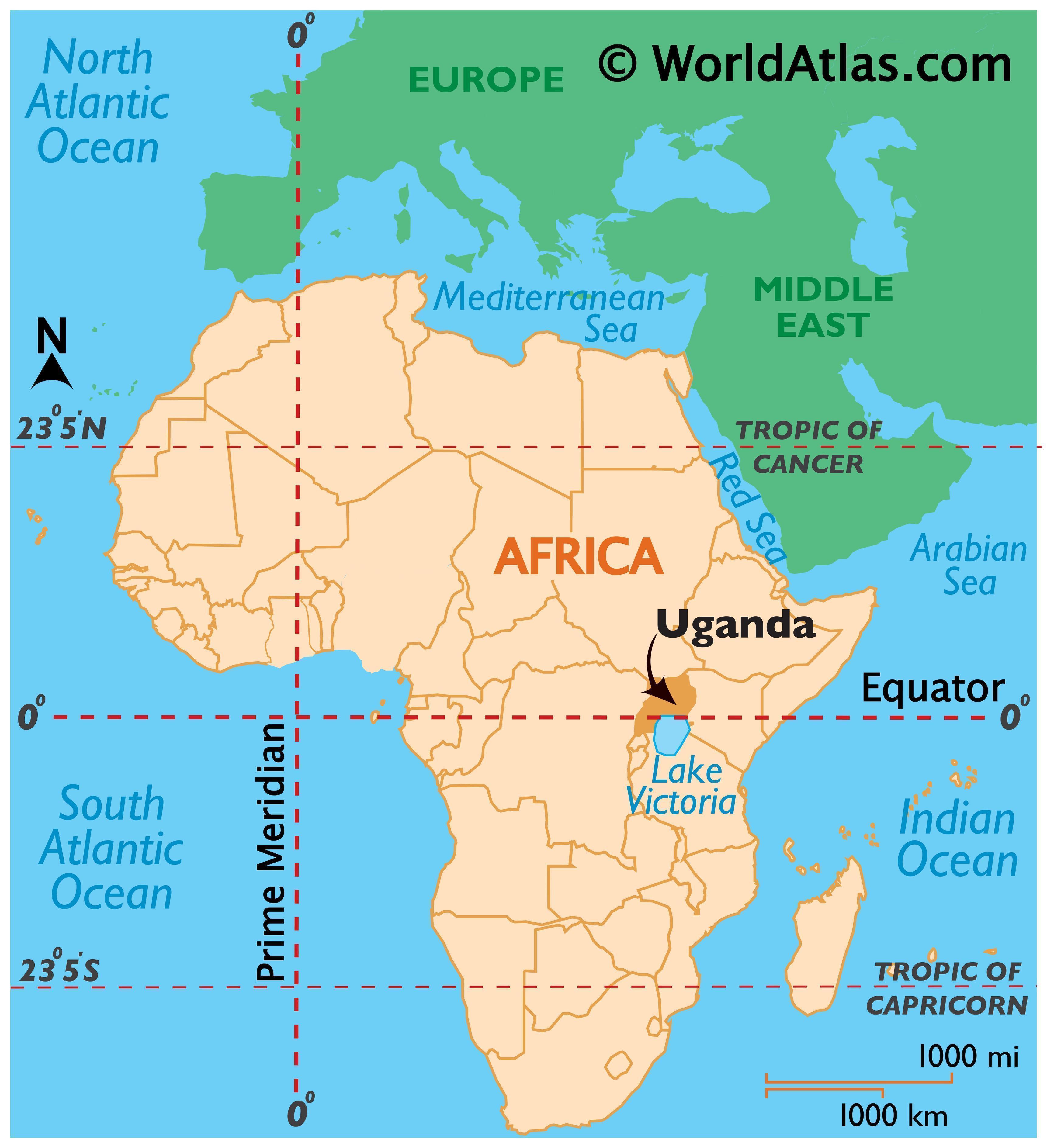 UGANDA BUGISU - Premium Roast