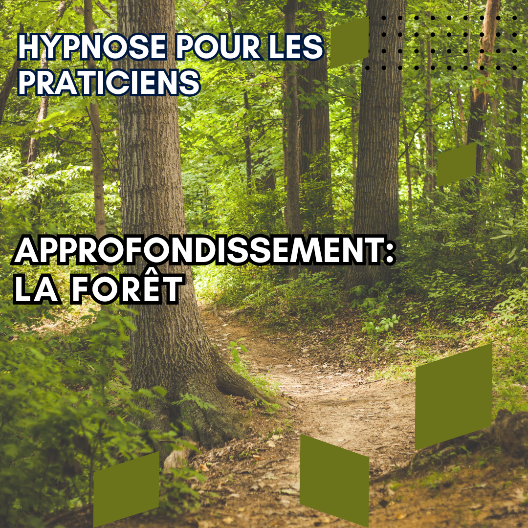 Approfondissement - la forêt