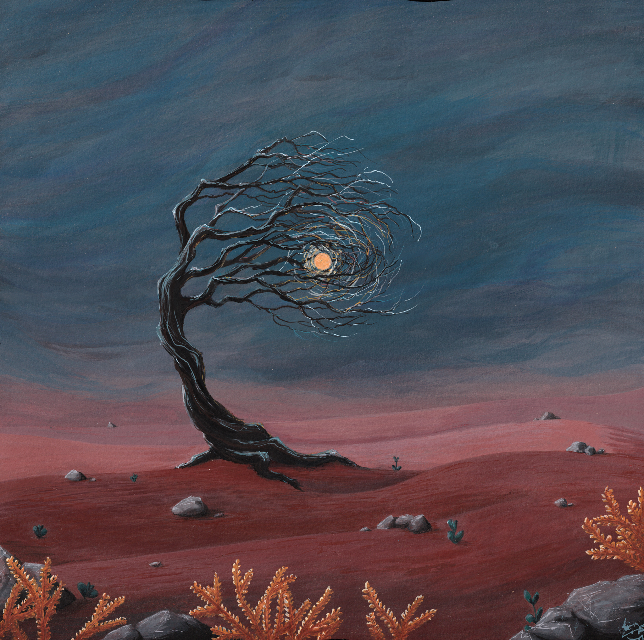 Clémentinier du désert - 30x30cm