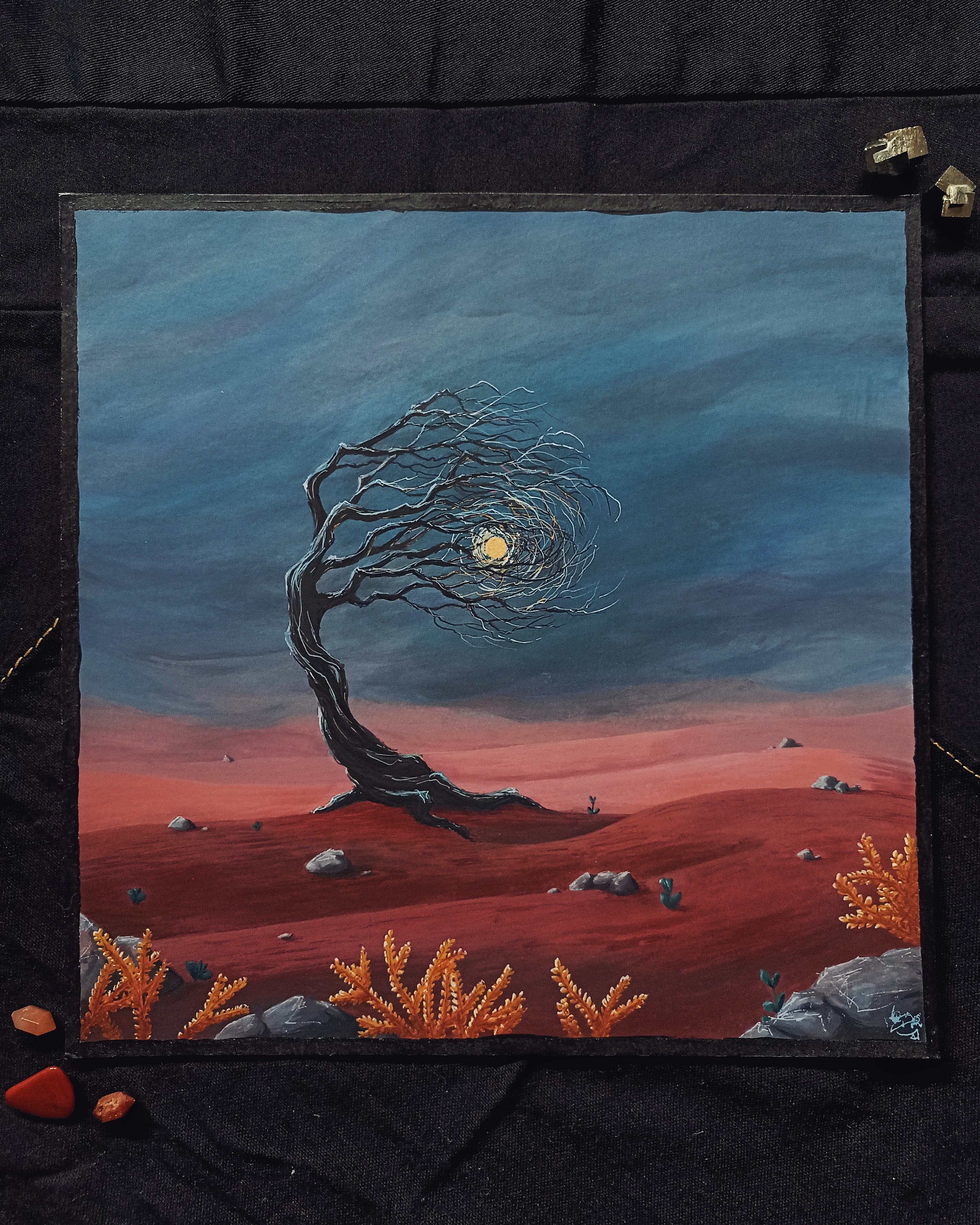 Clémentinier du désert - 30x30cm