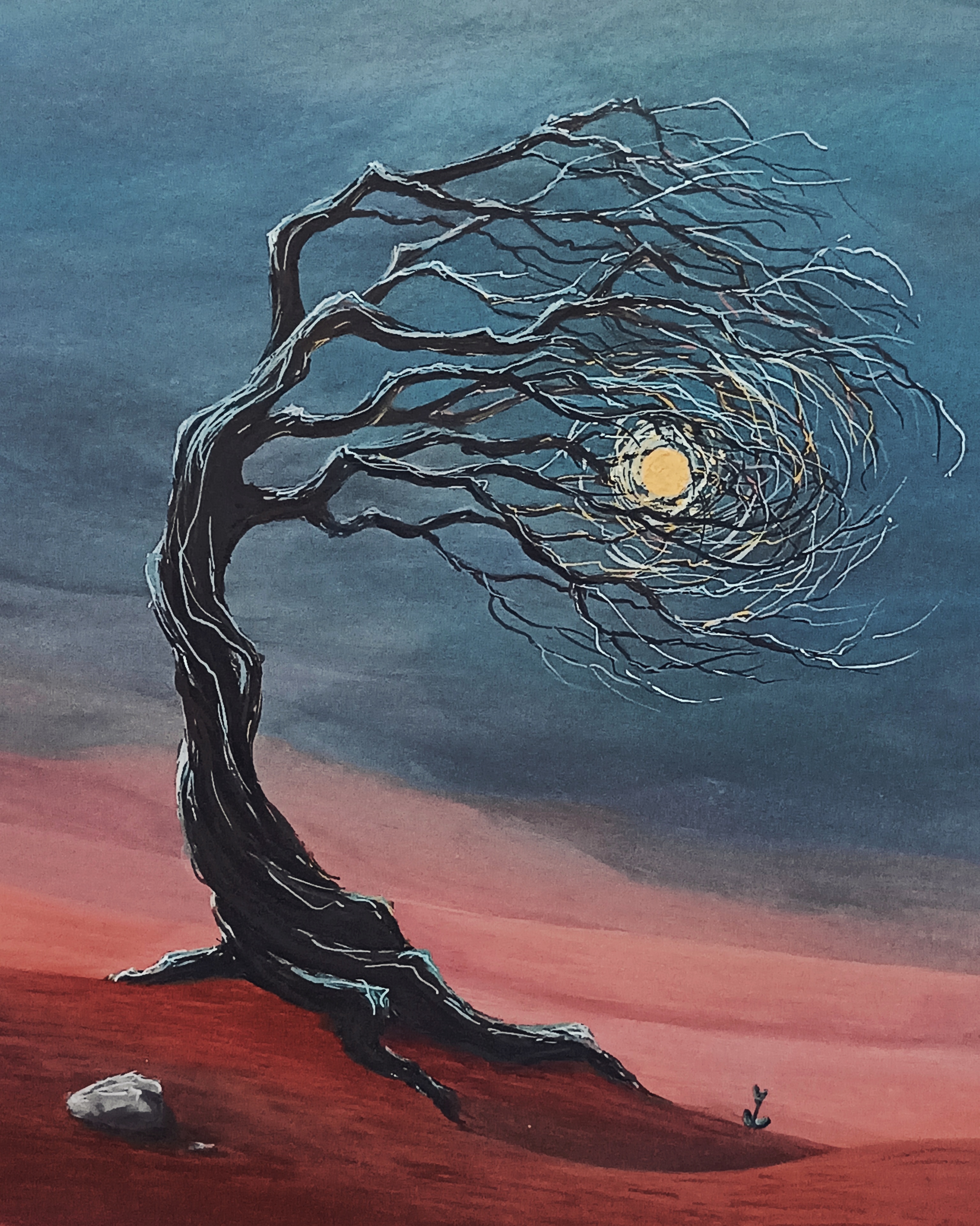 Clémentinier du désert - 30x30cm
