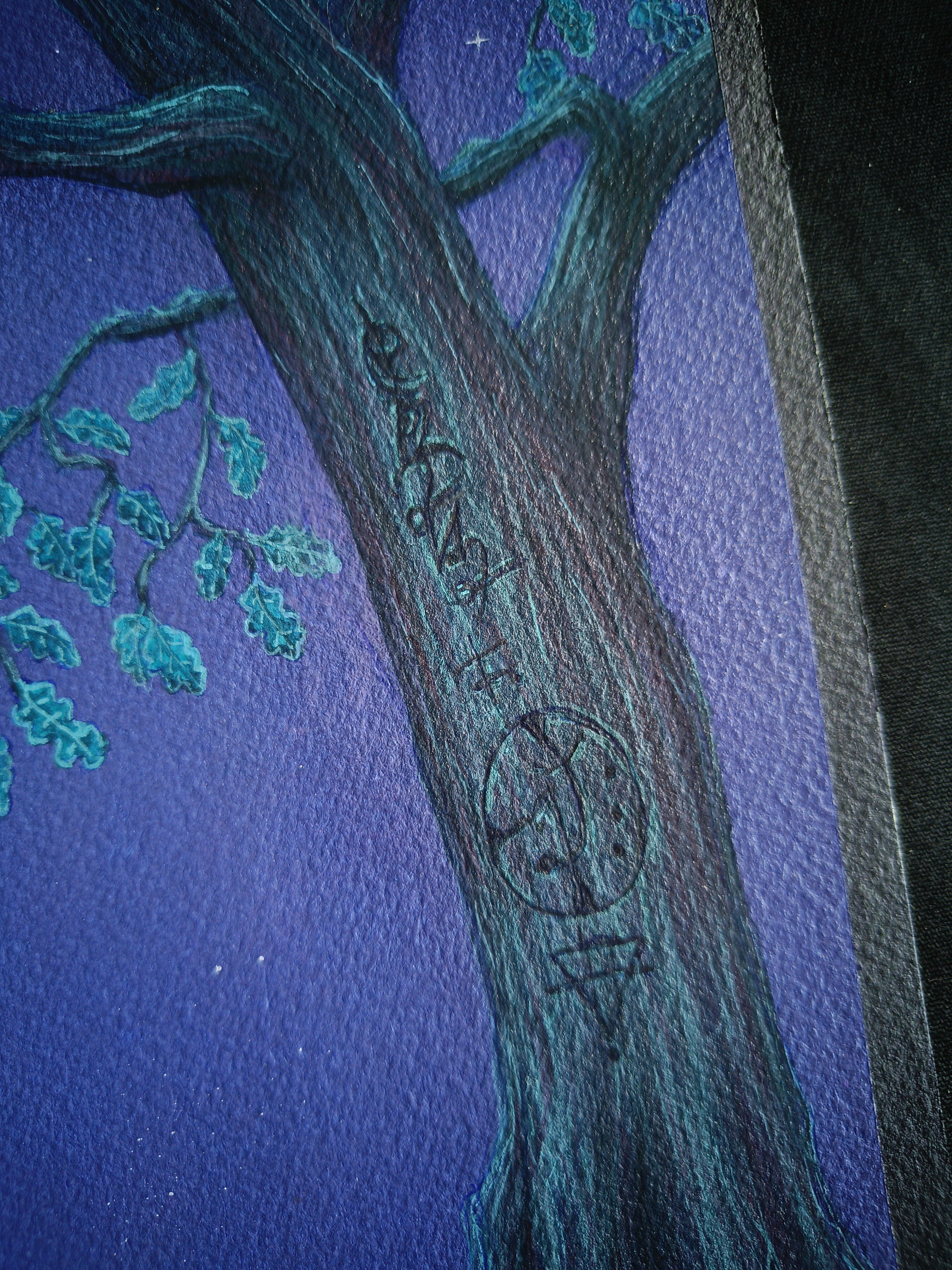 Chêne nocturne - 23 x 31cm