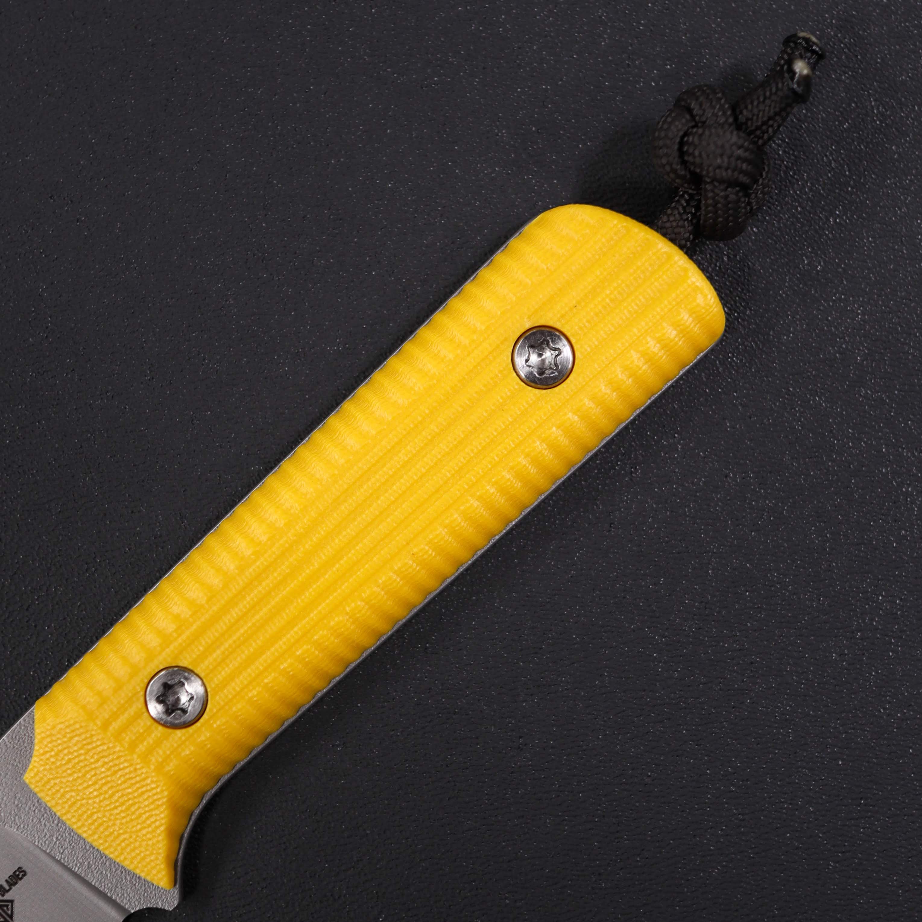 Handle scales for Iltis