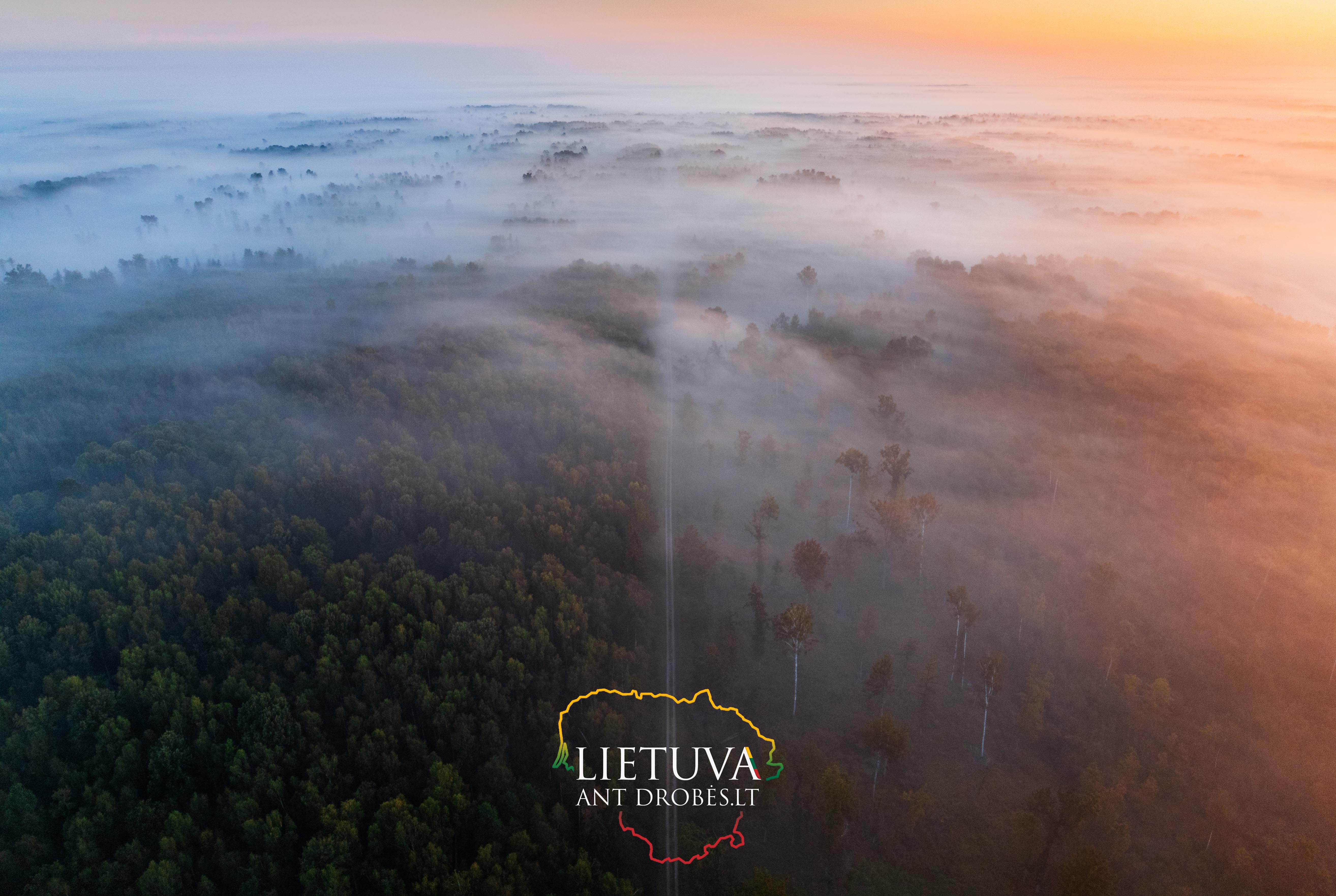 Rytinis rudens rūkas