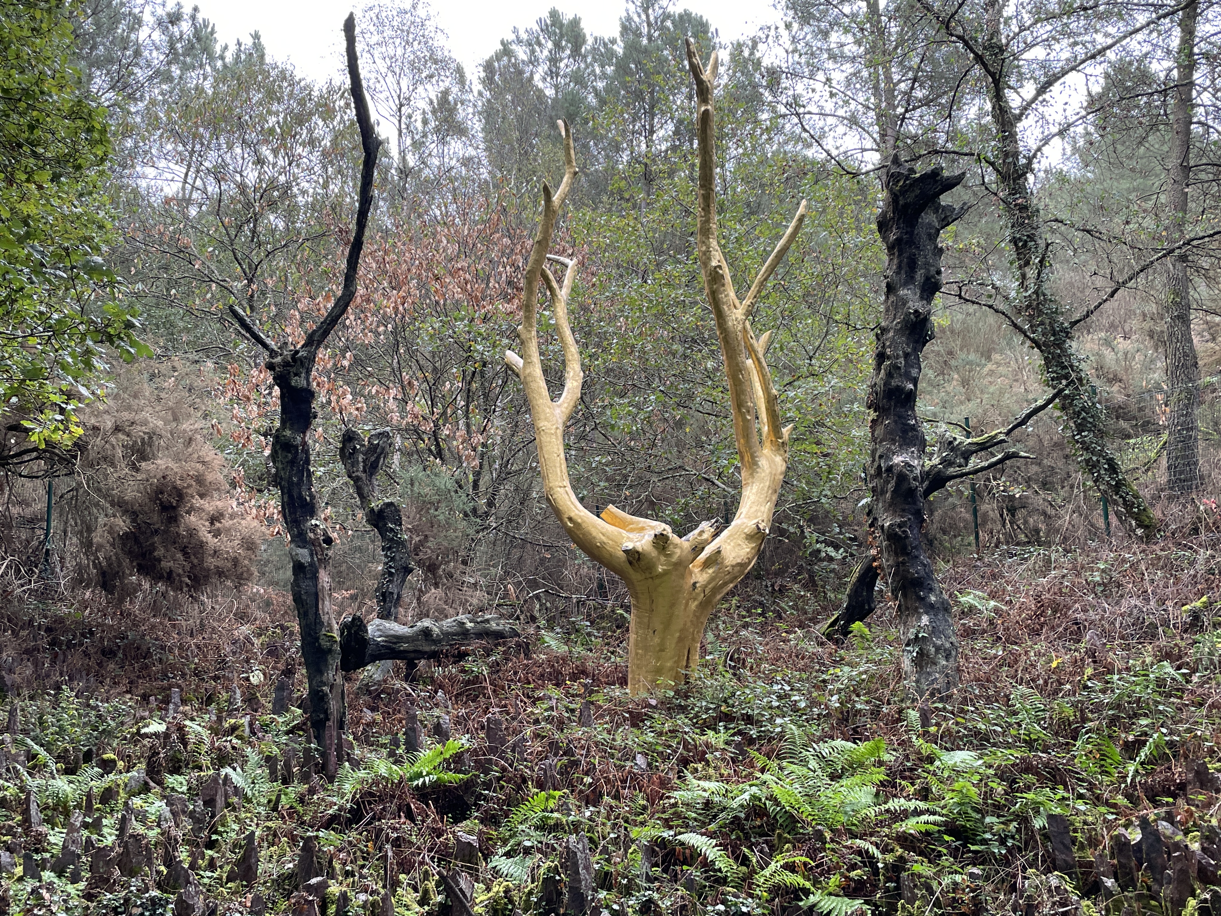 Conférence sur l'intégration du soi