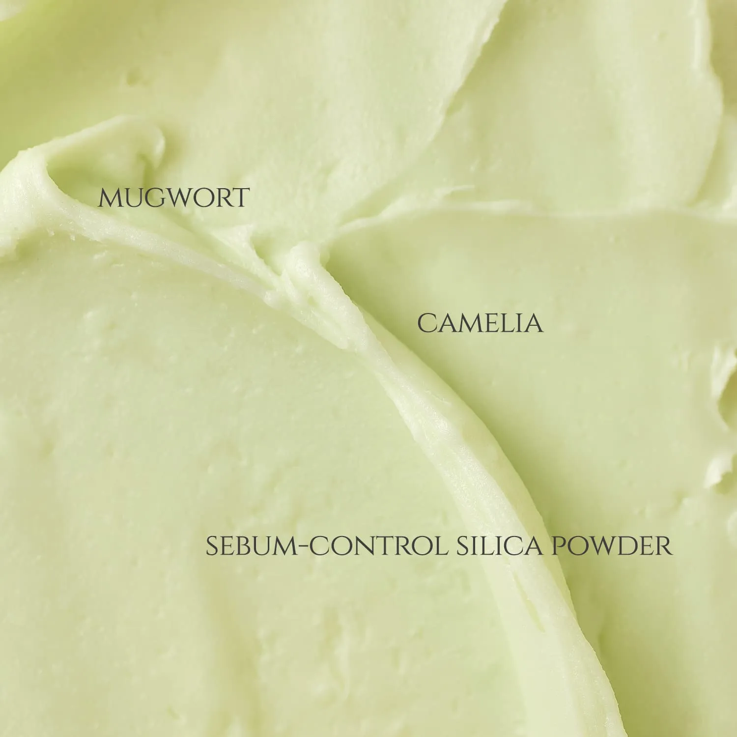 Beauty of Joseon Matte Sun Stick: Mugwort + Camelia