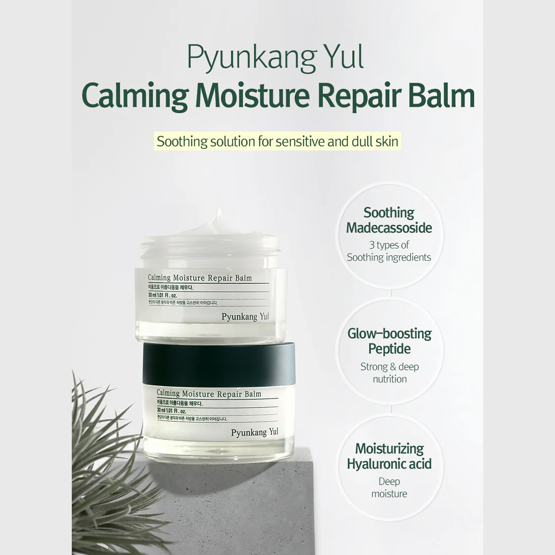 Pyunkang Yul - Calming Moisture Repair Balm