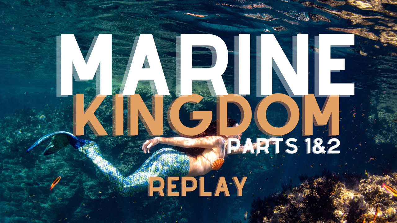 Marine Kingdom REPLAY PTs 1&2