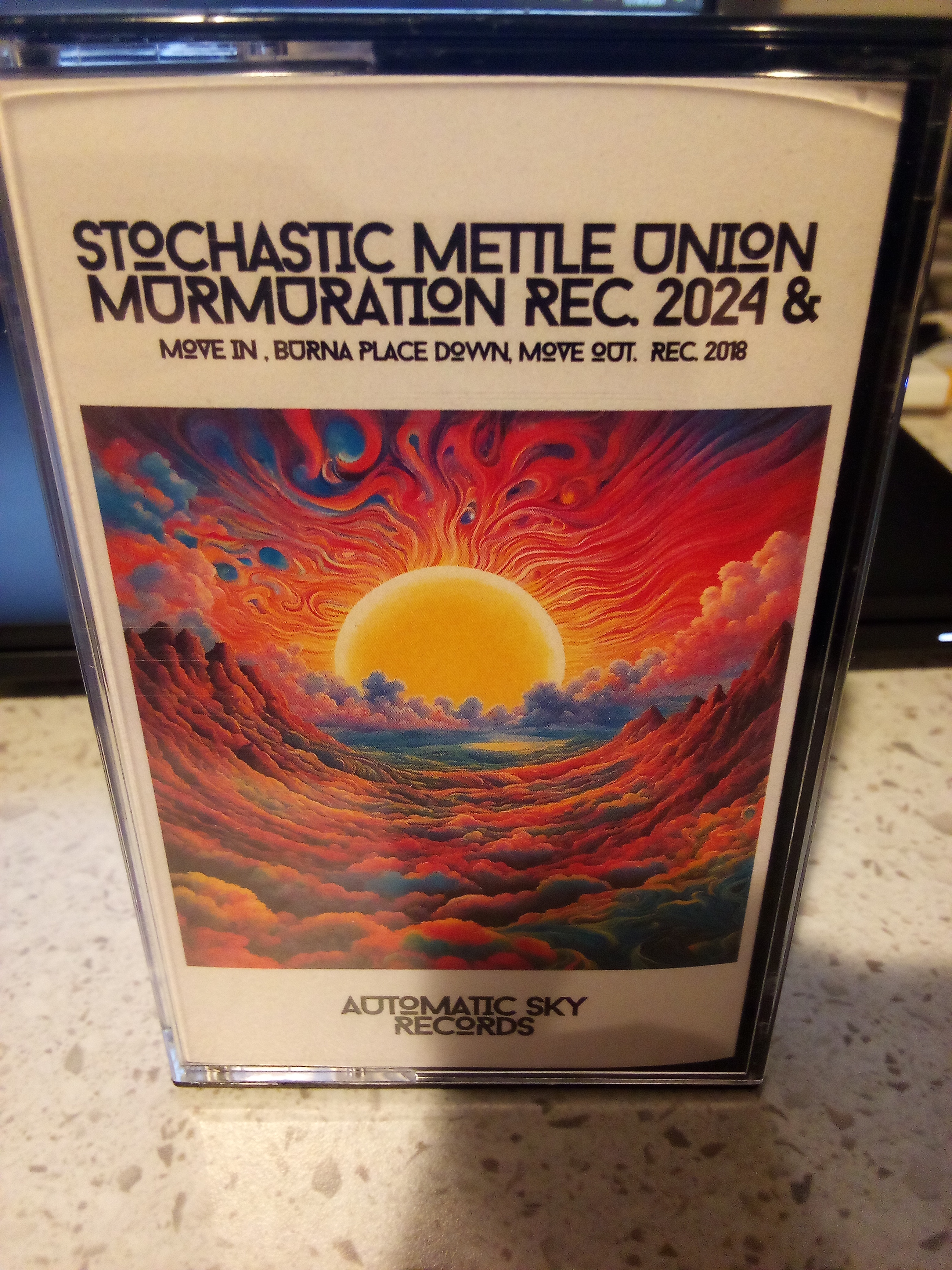 Stochastic Mettle Union: Murmuration Rec. 2024
