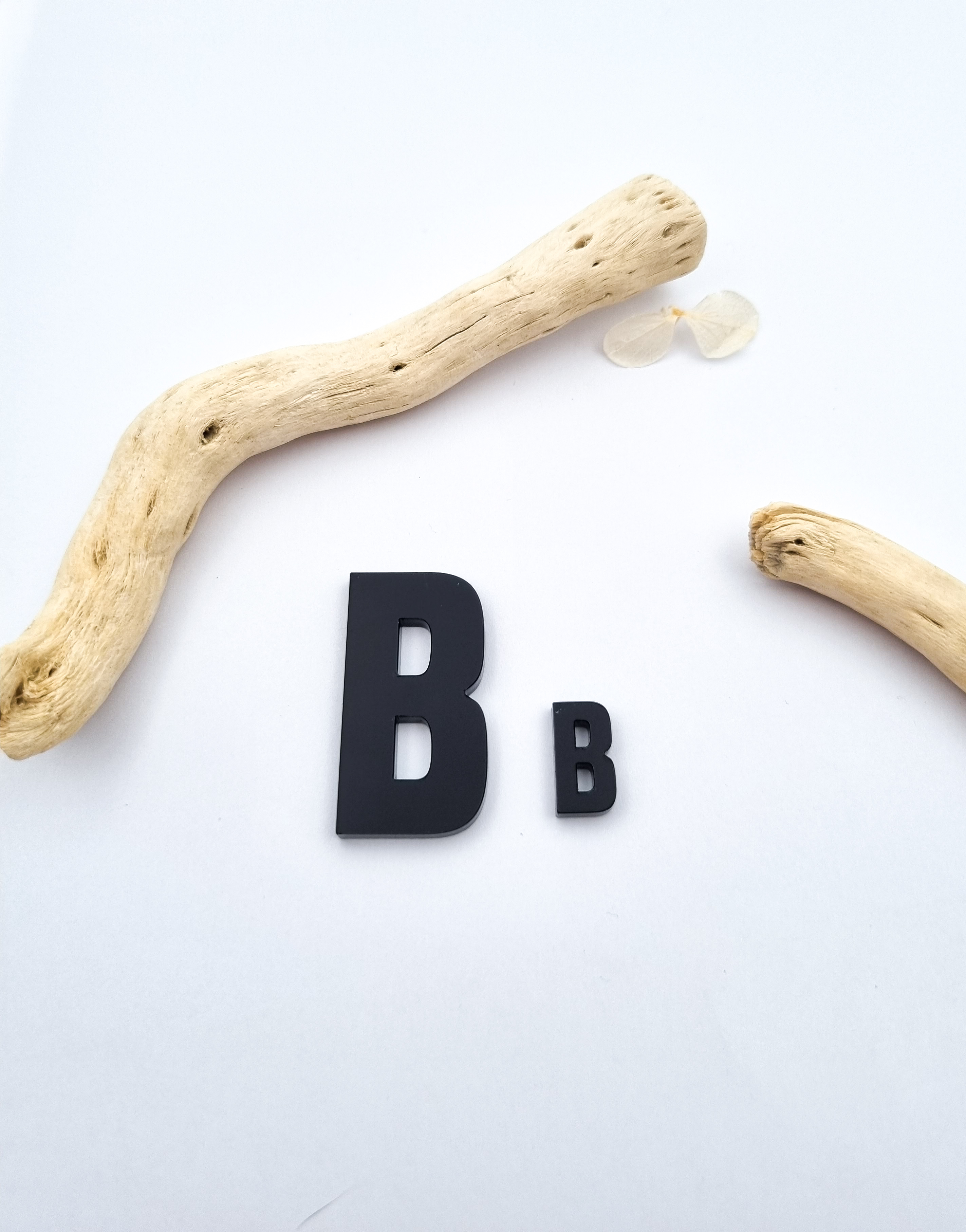„B“