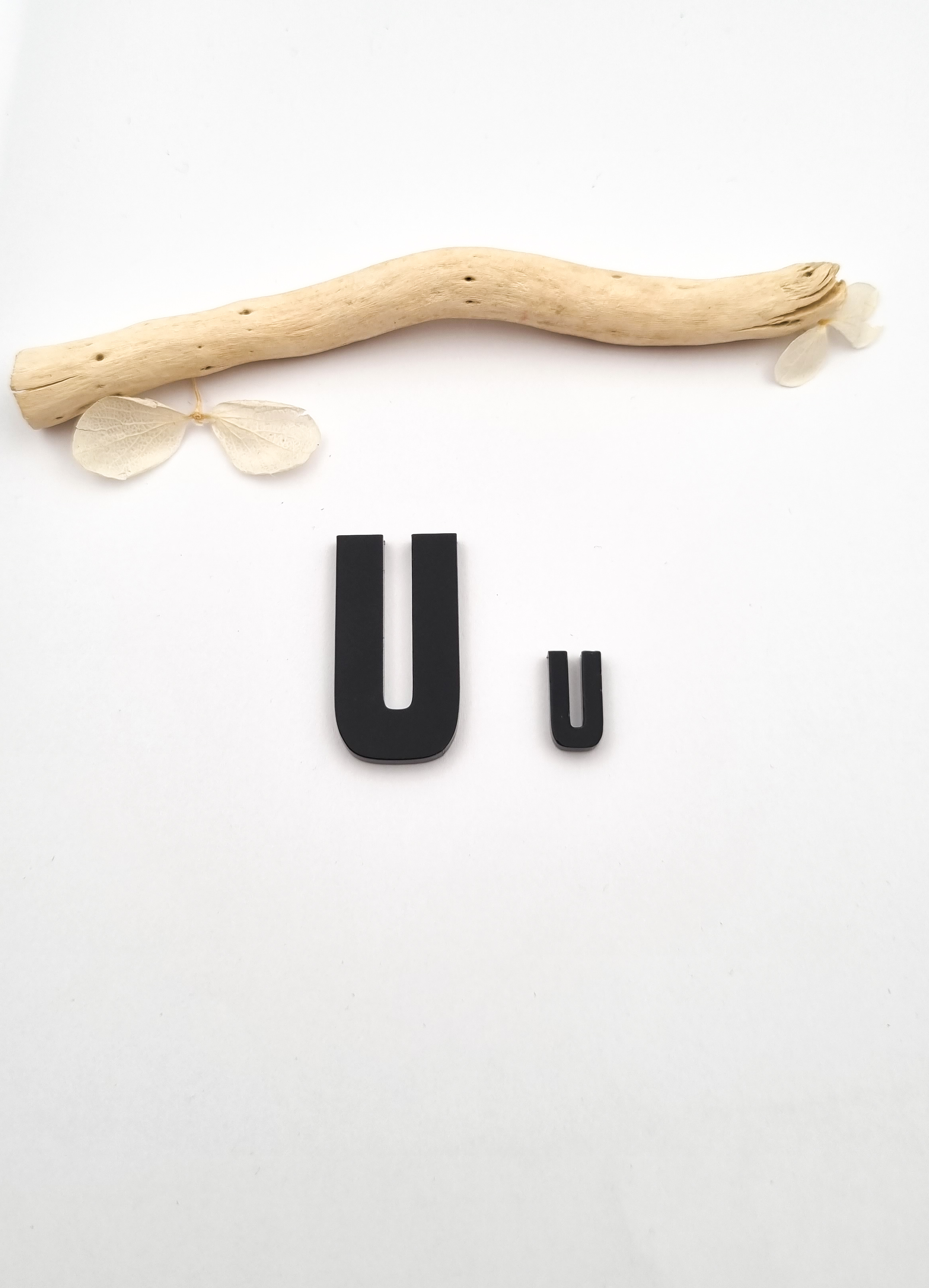 „U“