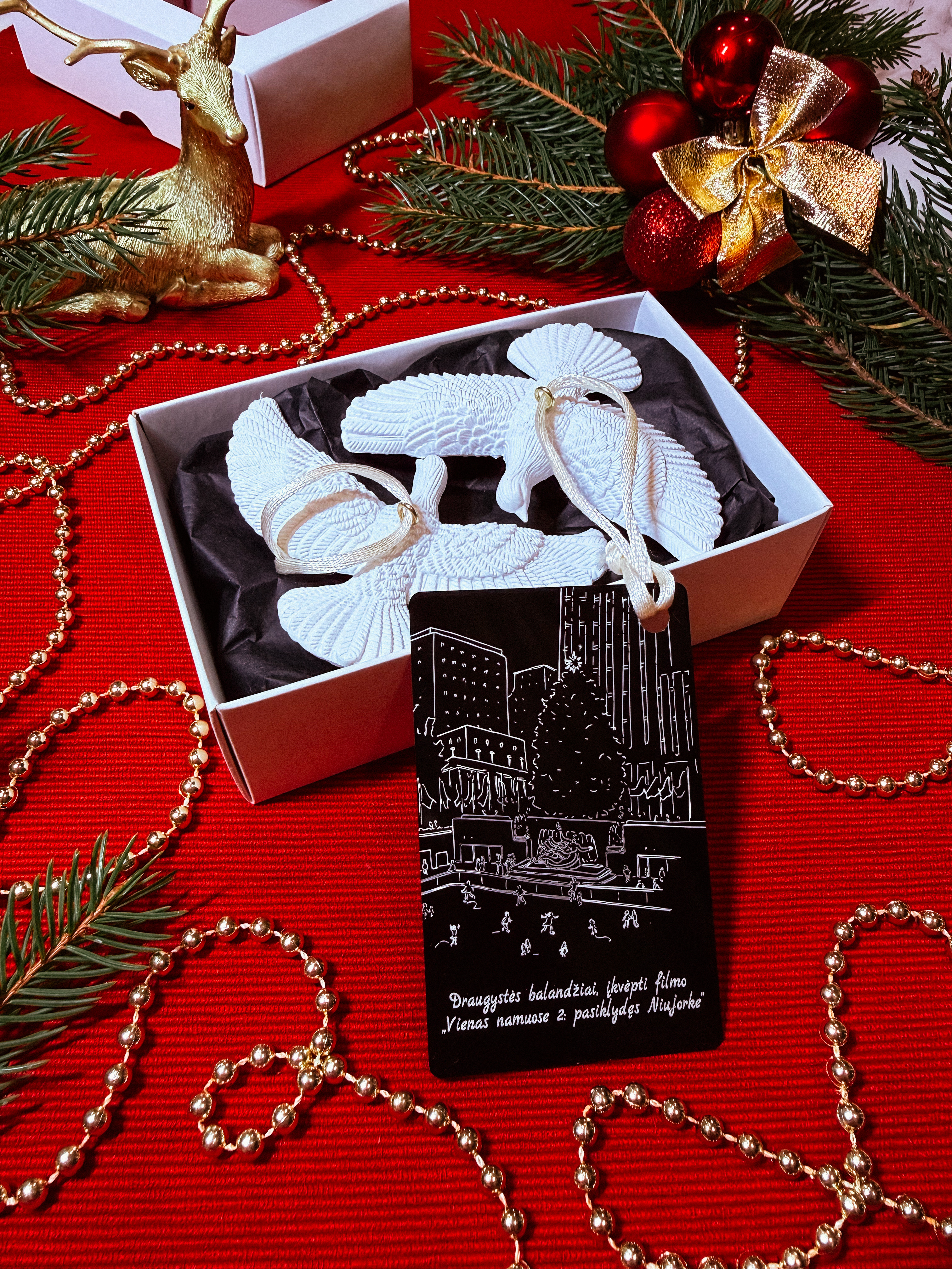 Draugystės balandžiai