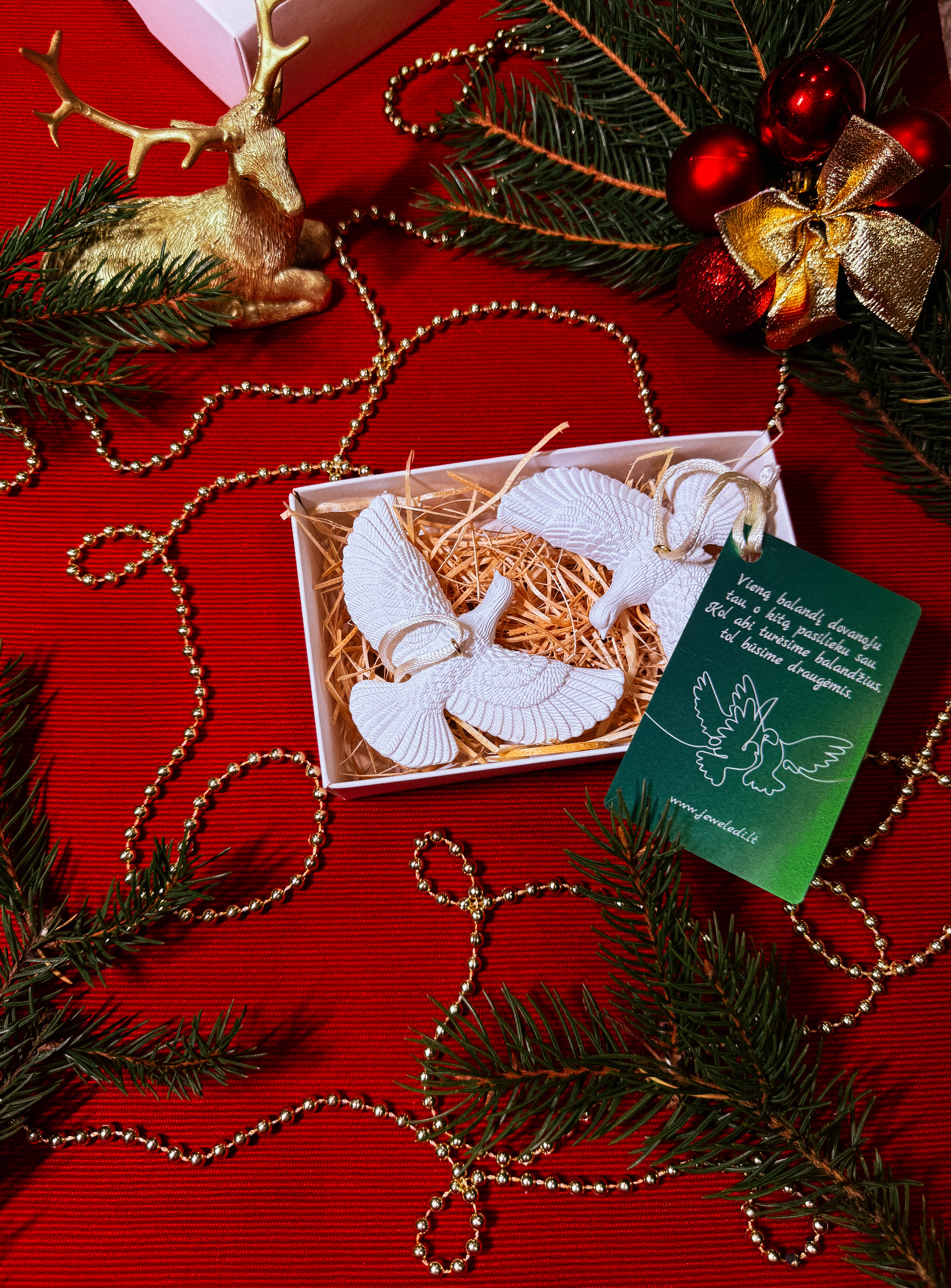 Draugystės balandžiai