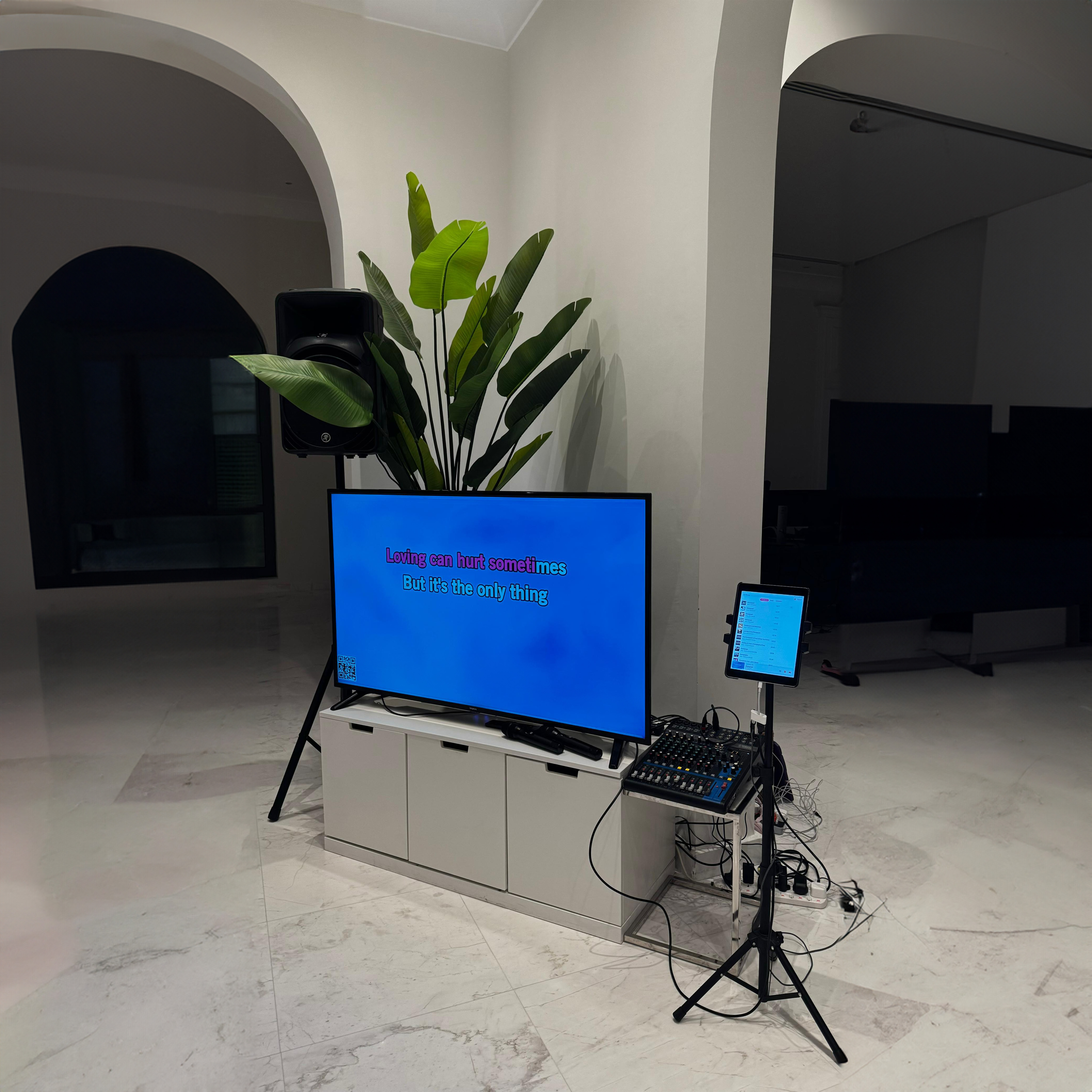 Standard Karaoke Setup