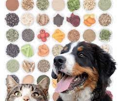 ALIMENTOS ESPECIAIS PARA PET