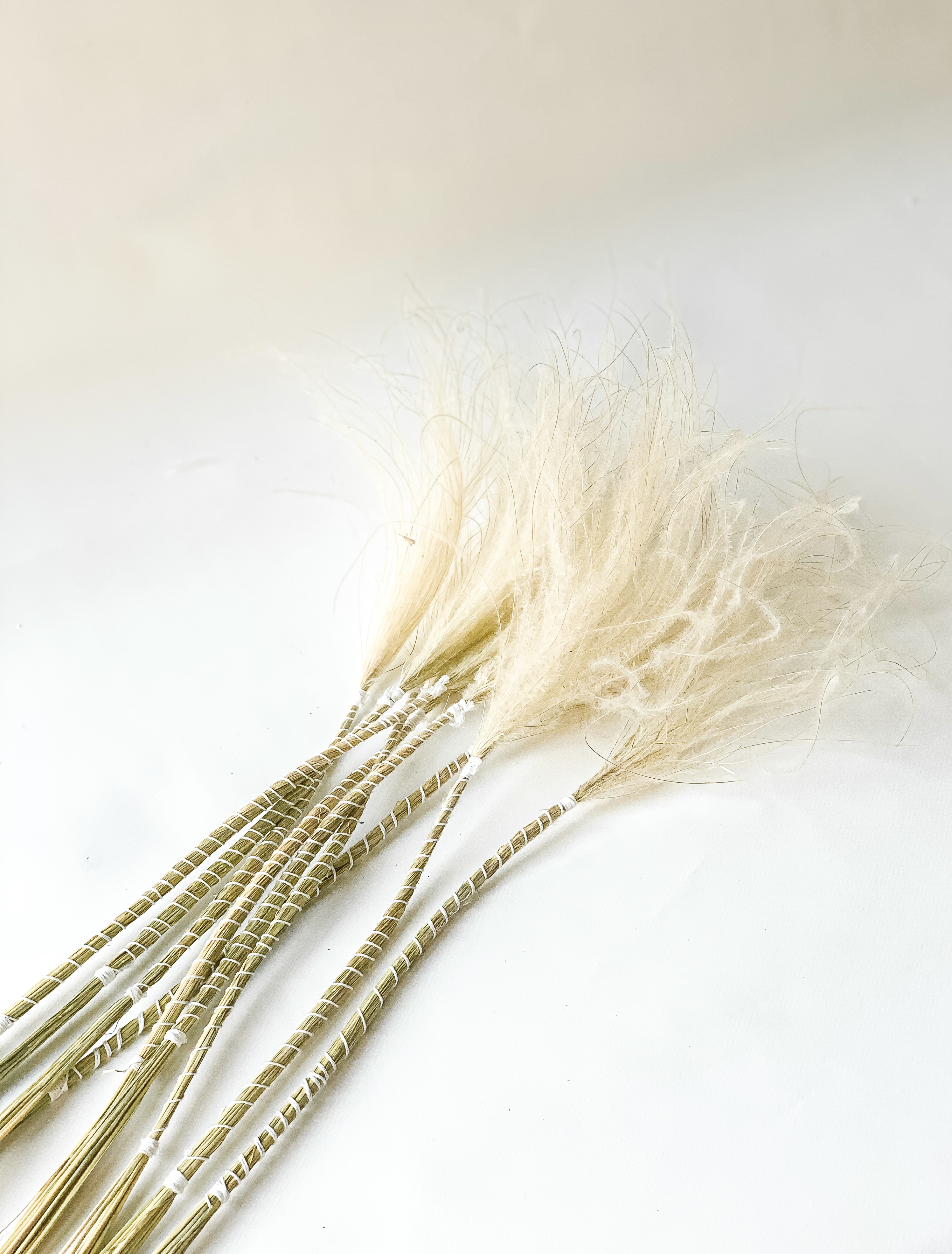 Balinta Plunksninė Ašuotė (Stipa Pennata)