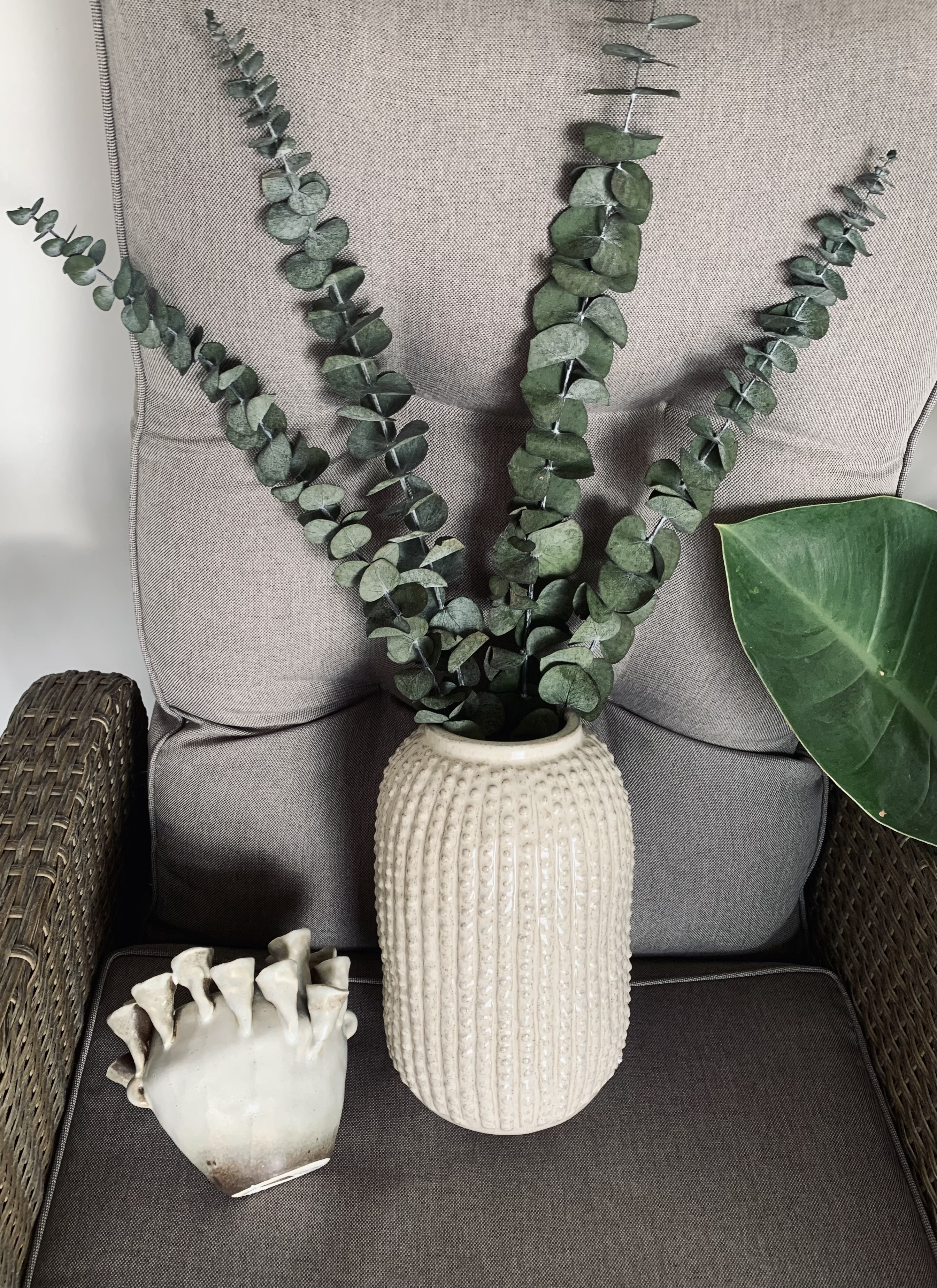 Stabilizuotas Eukaliptas "Baby Green"
