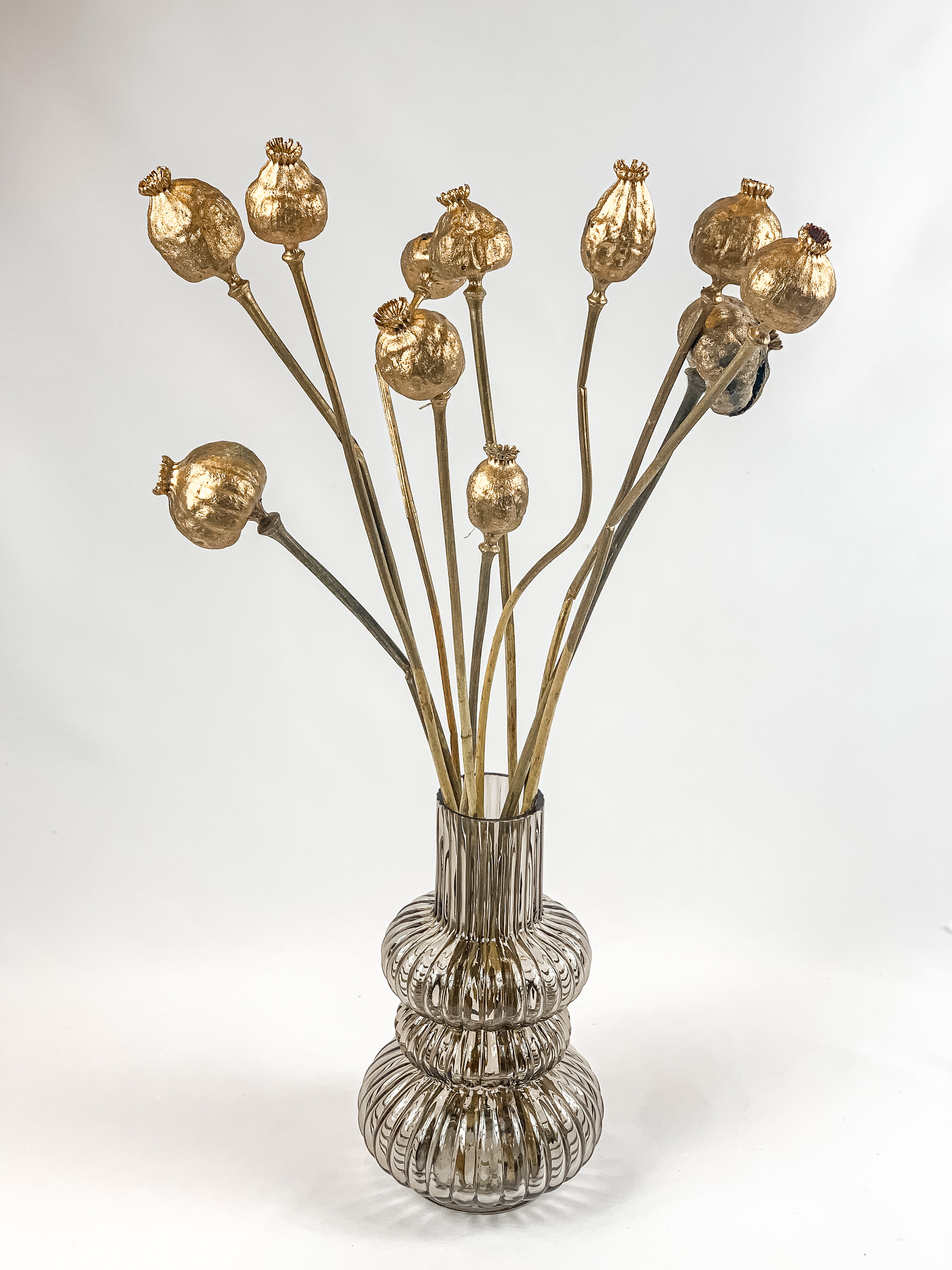 Gigantiškų Aguonų Puokštė "Antique Gold"