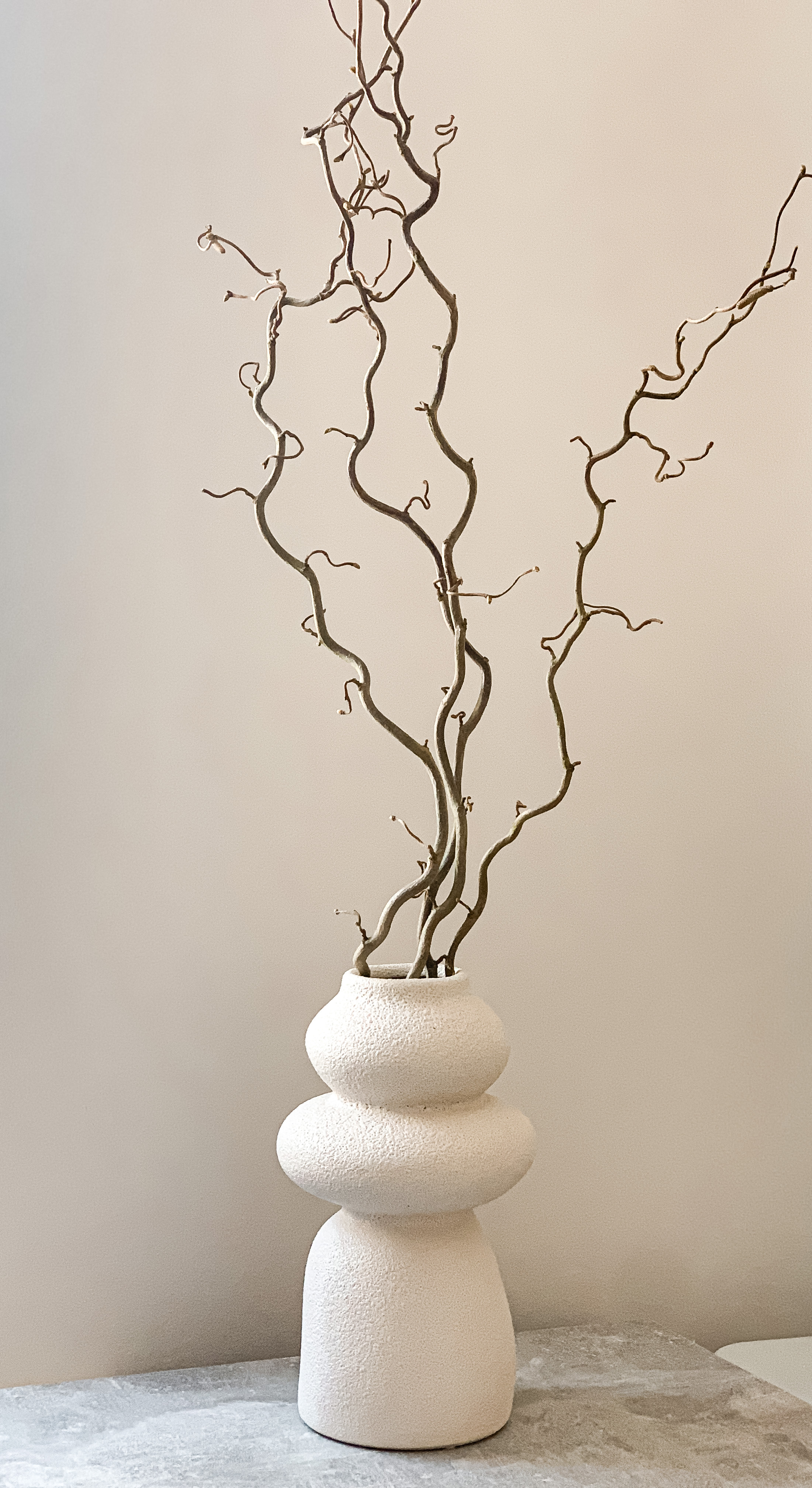Garbanoto Lazdyno Šakelė 70 cm
