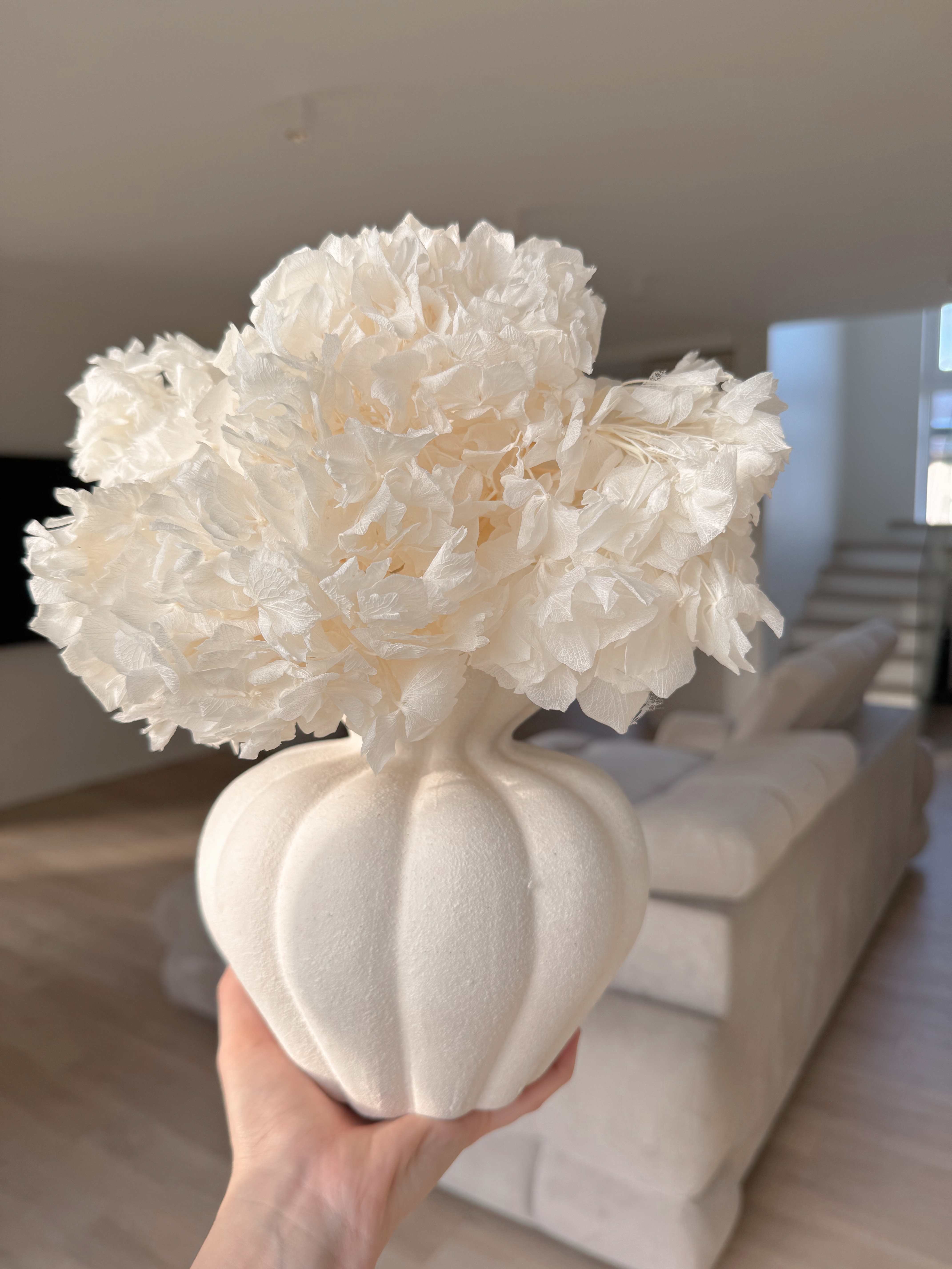 Stabilizuota Balinta Hortenzijų Puokštė