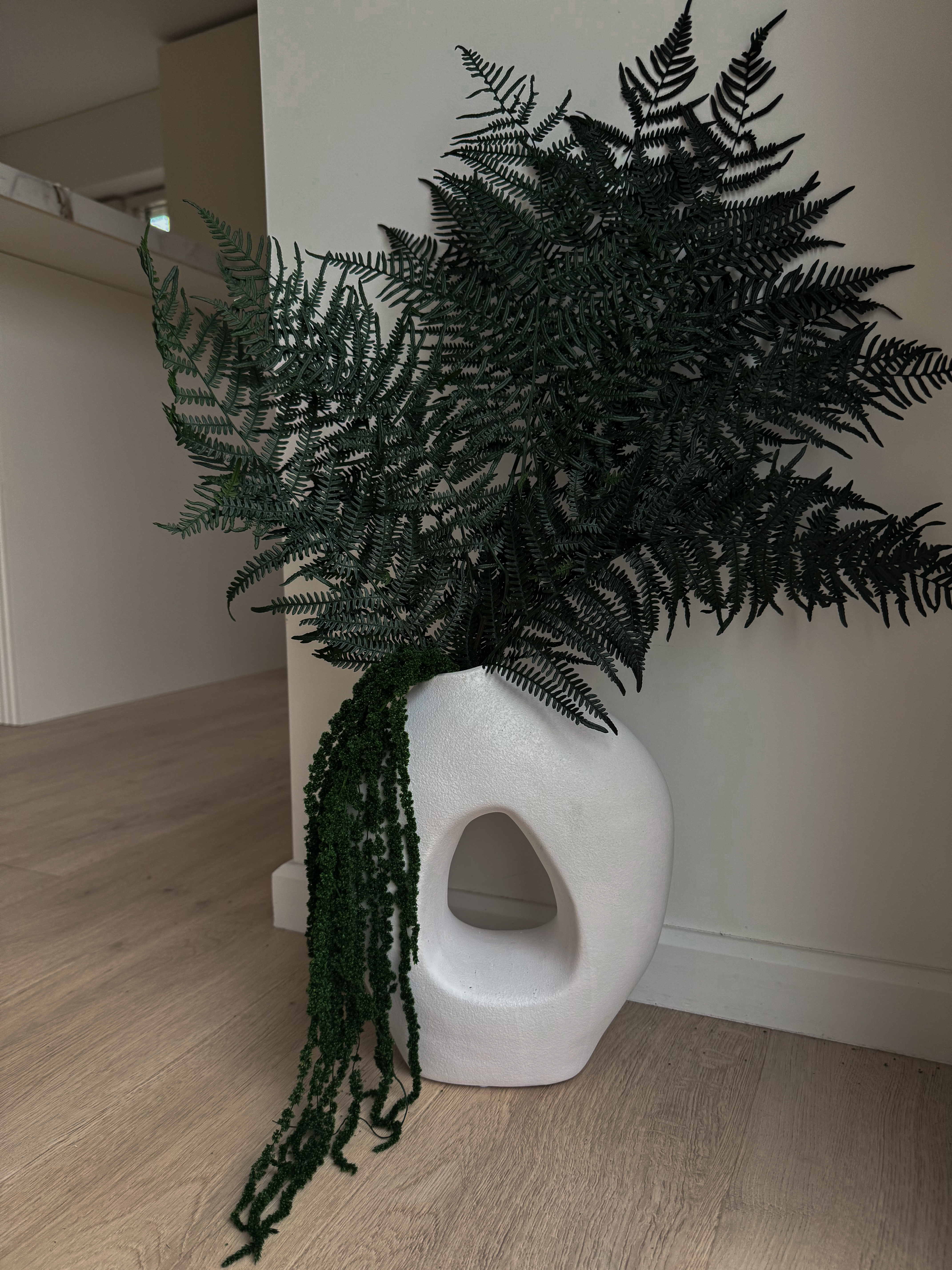 Stabilizuotas Papartis Kartu su Burnočiu