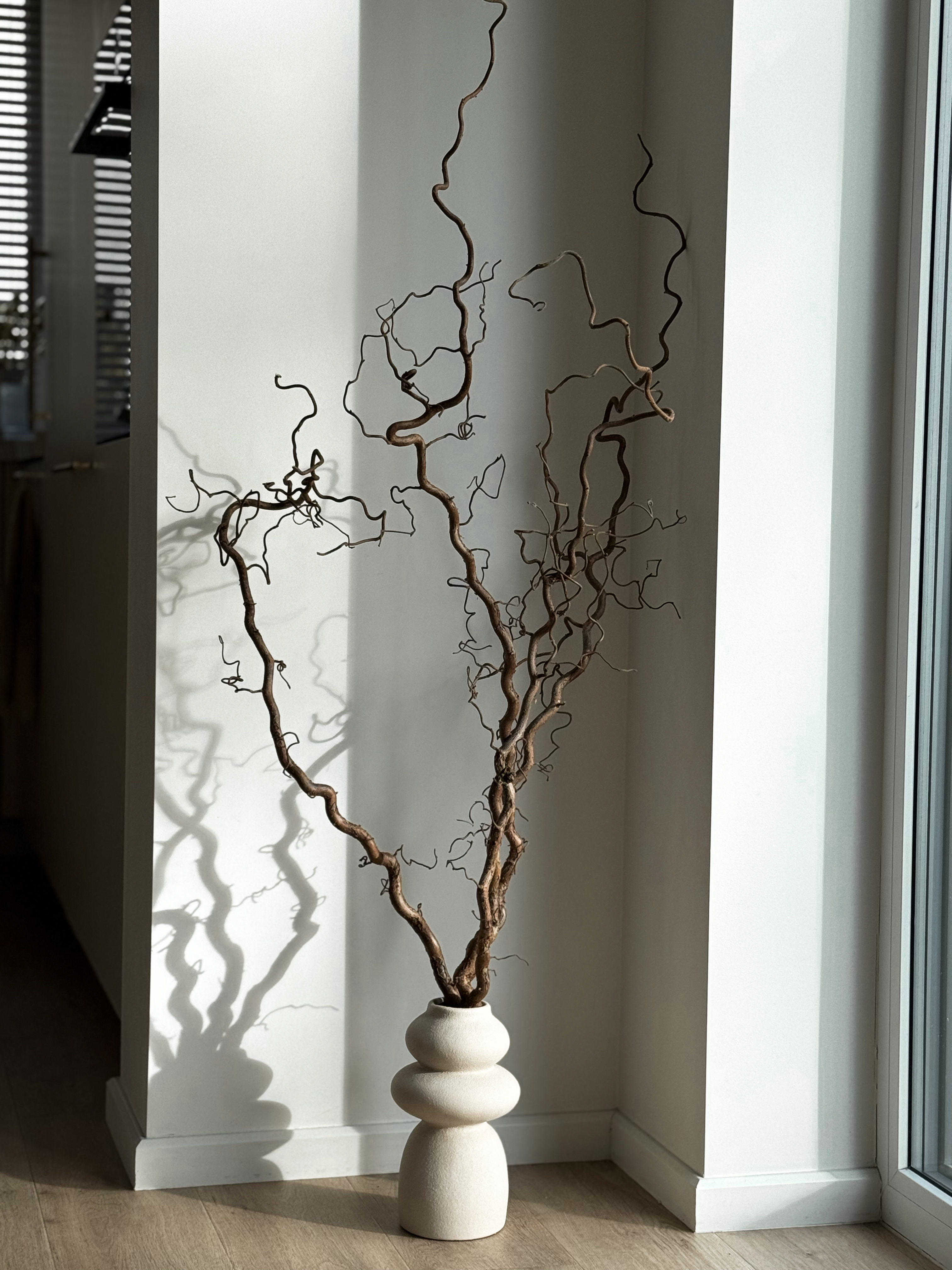 Garbanoto Lazdyno Šakelė 130 cm