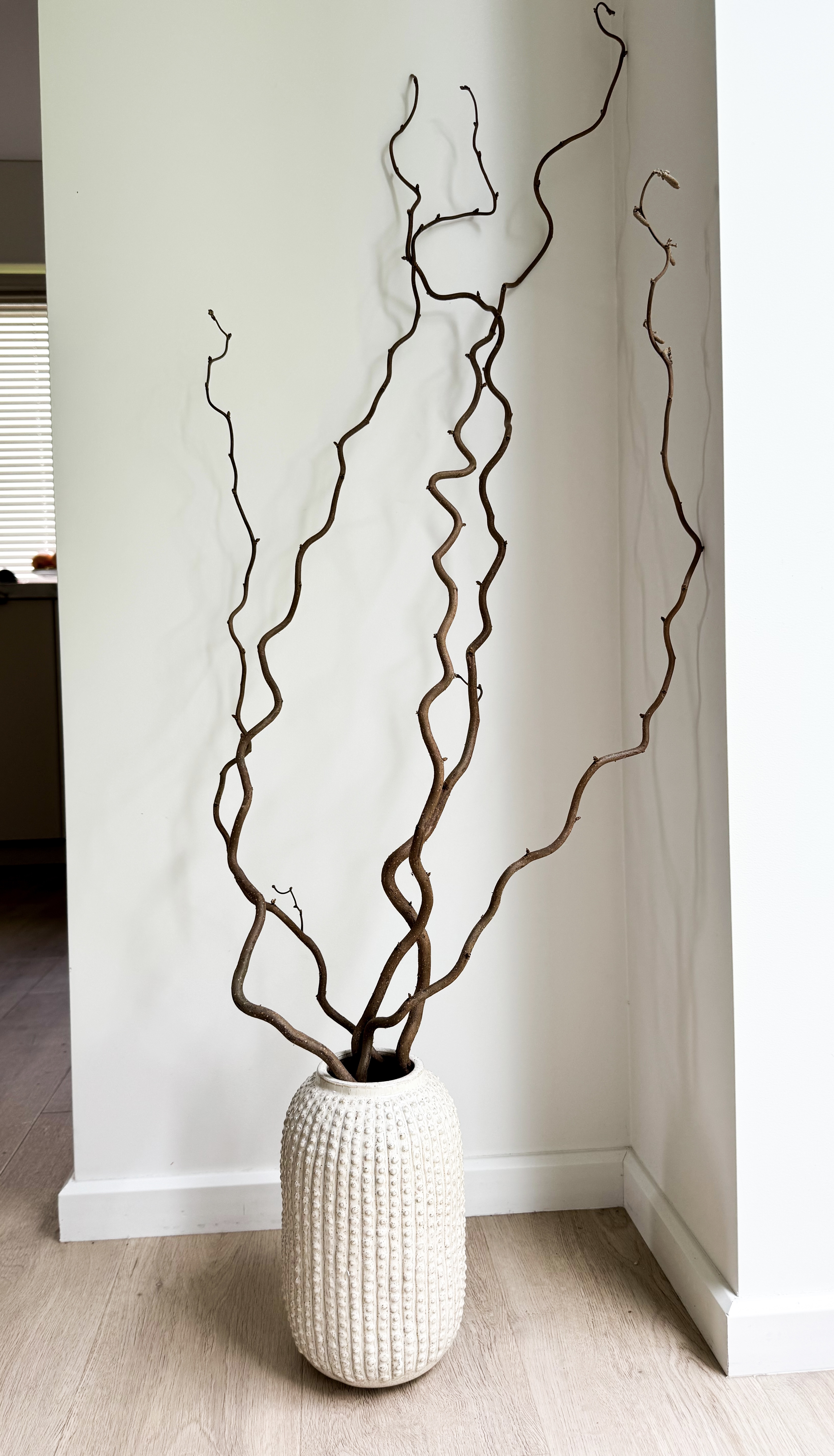 Garbanoto Lazdyno Šakelė 100 cm