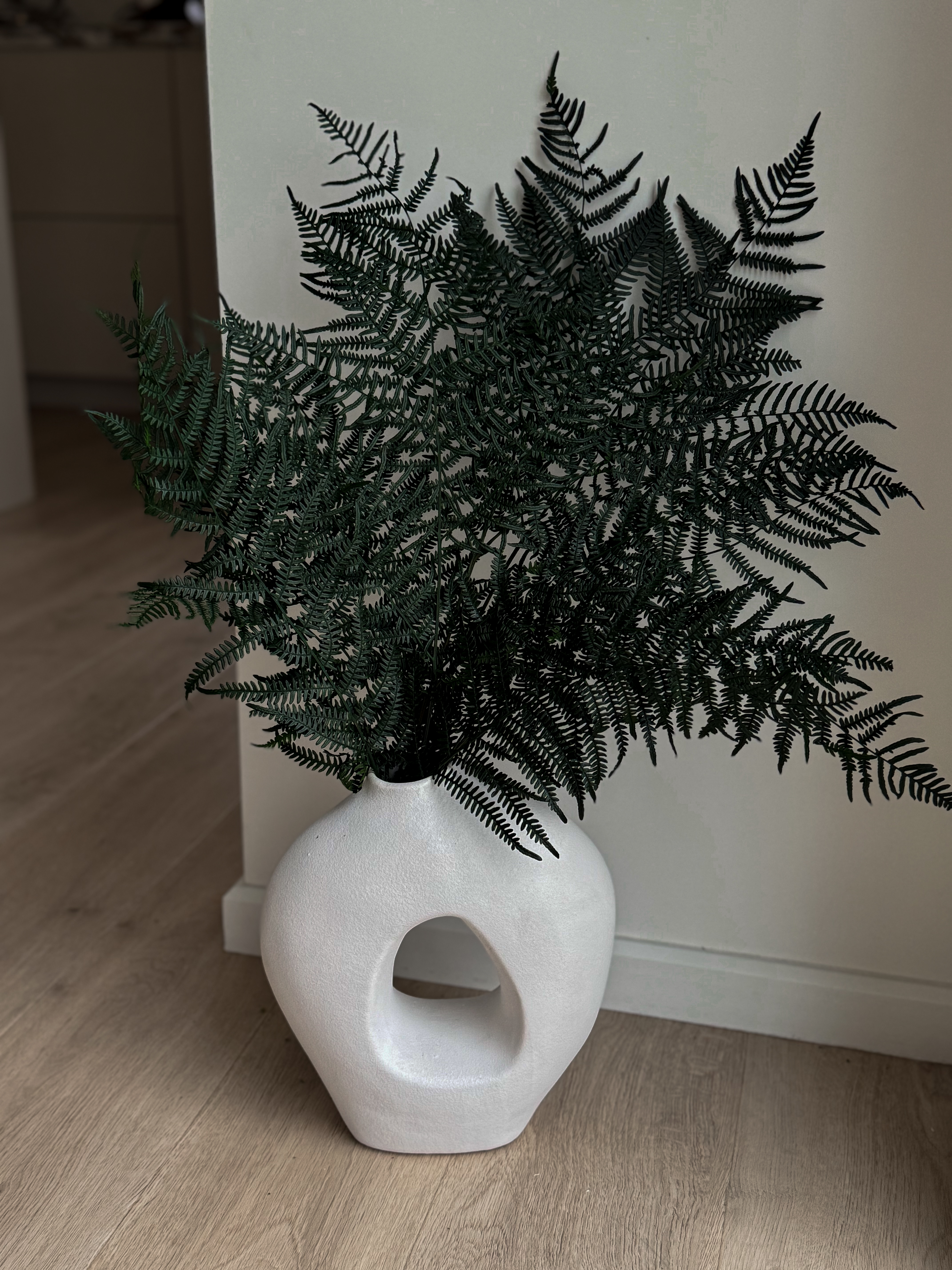 Stabilizuotas Papartis