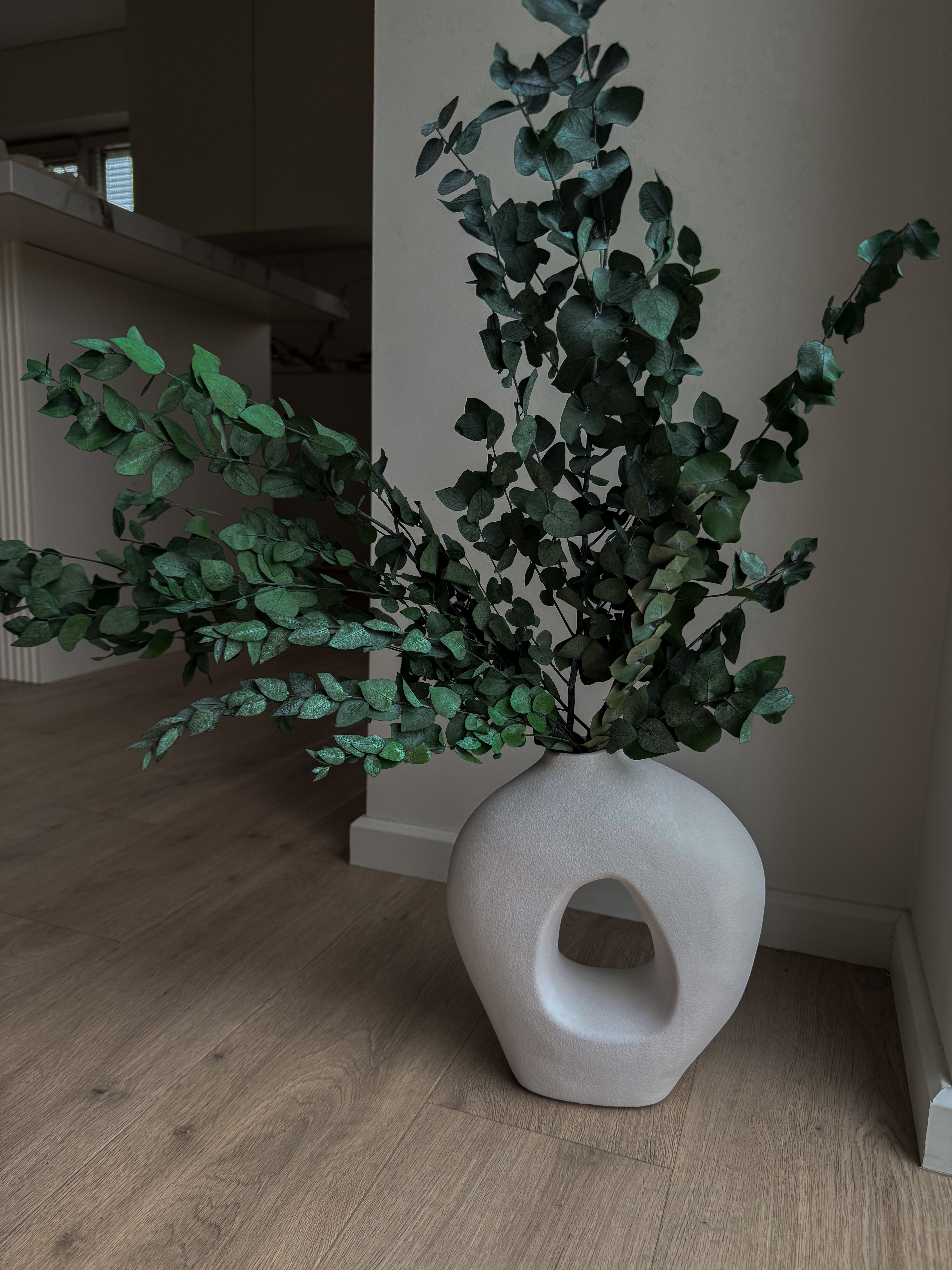 Stabilizuotas Eukaliptas Kartu Su Vaza