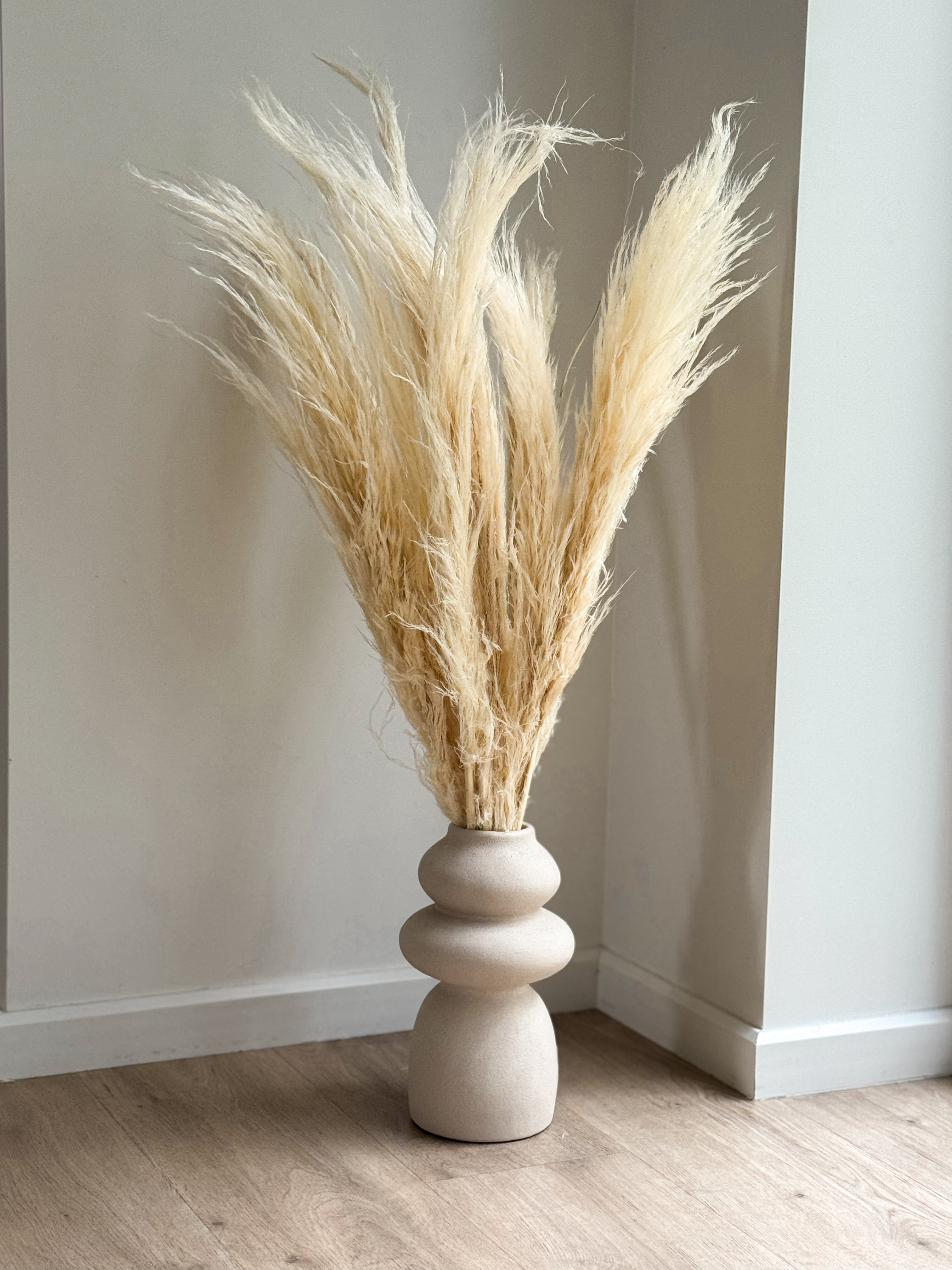 Balintų Pampa Smilgų Puokštė