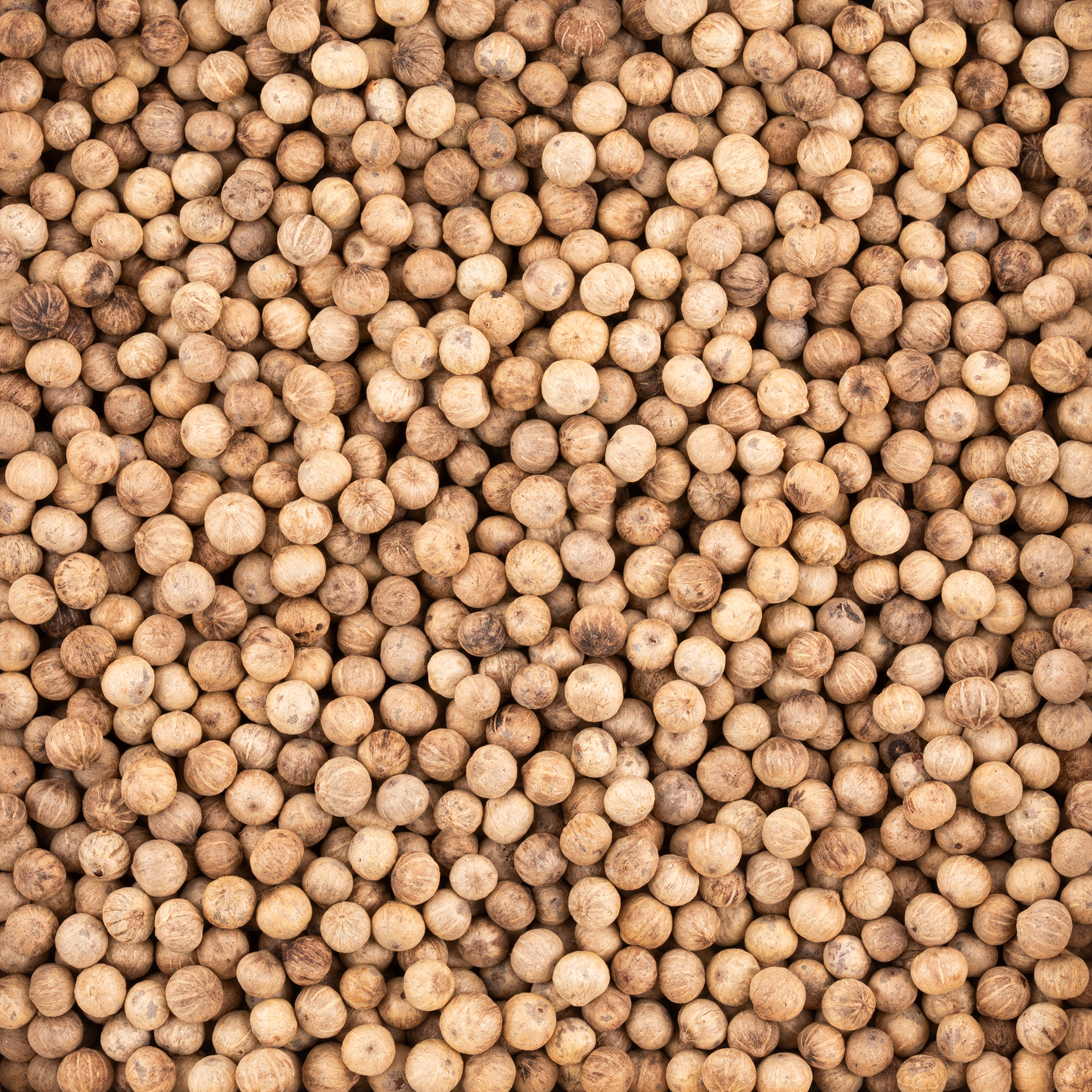 Kampoto baltieji pipirai, 500 g (Kampot White Pepper, 500 g)