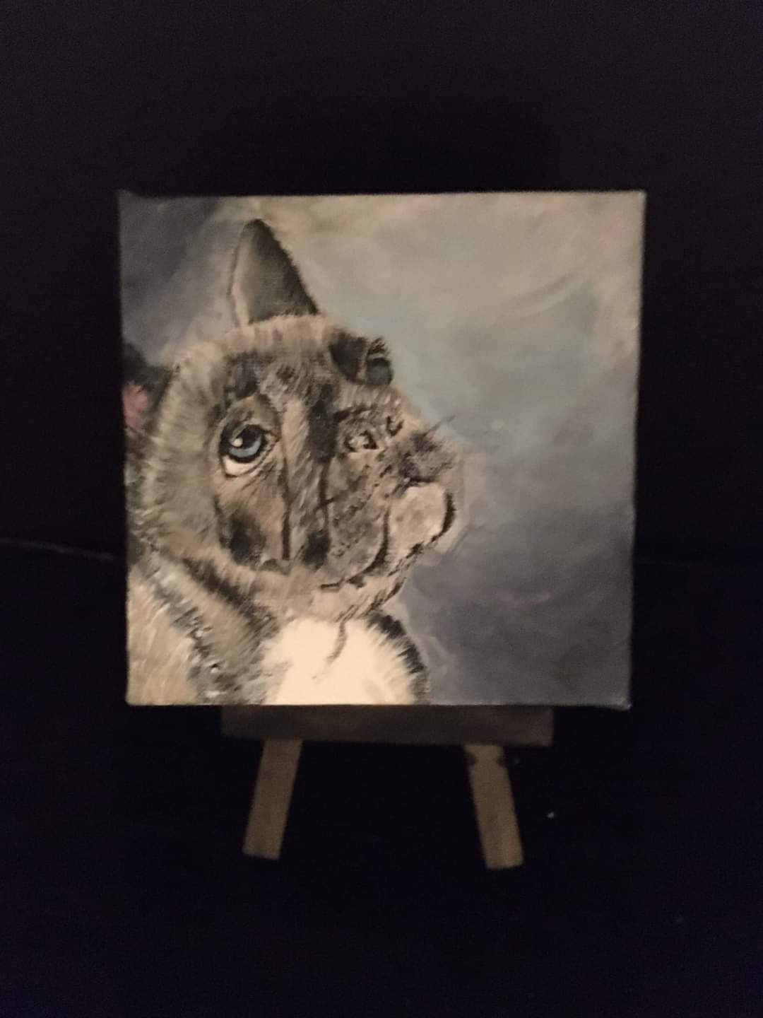 French Bulldog