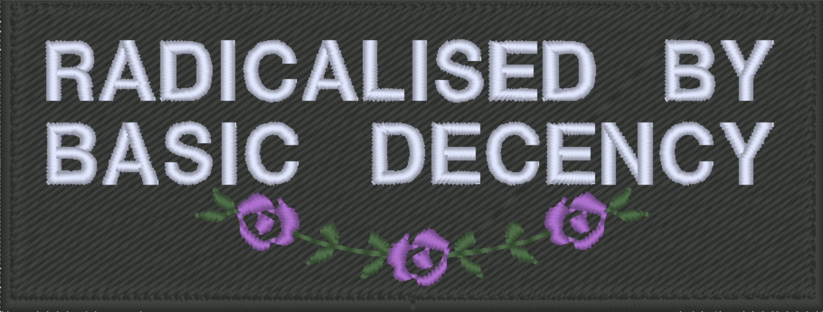 Radicalised By Basic Decency Patch