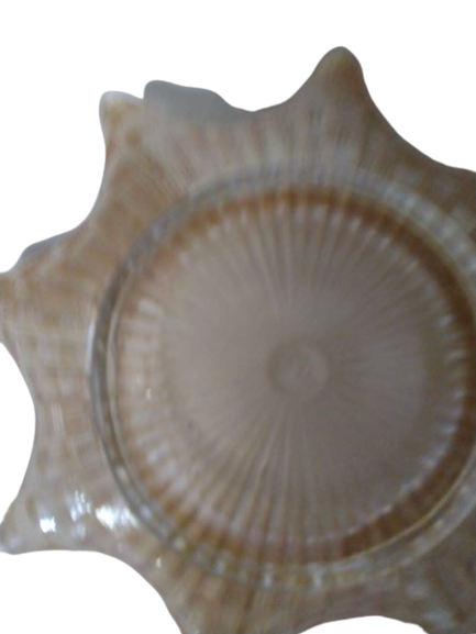 Amber glass bowl- signed IZ