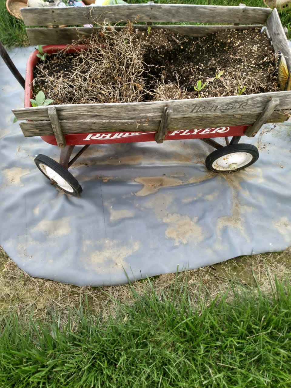 Radio Flyer Wagon with wood rails 