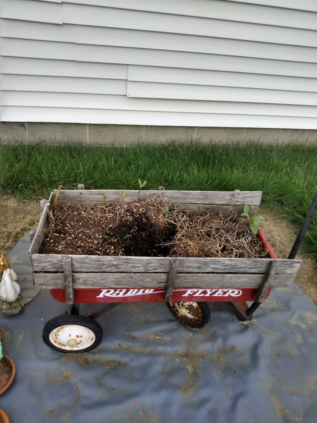 Radio Flyer Wagon with wood rails 