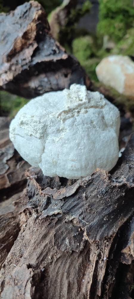 Géode entiere Quartz Blanc AAA  400 a 500 Grammes