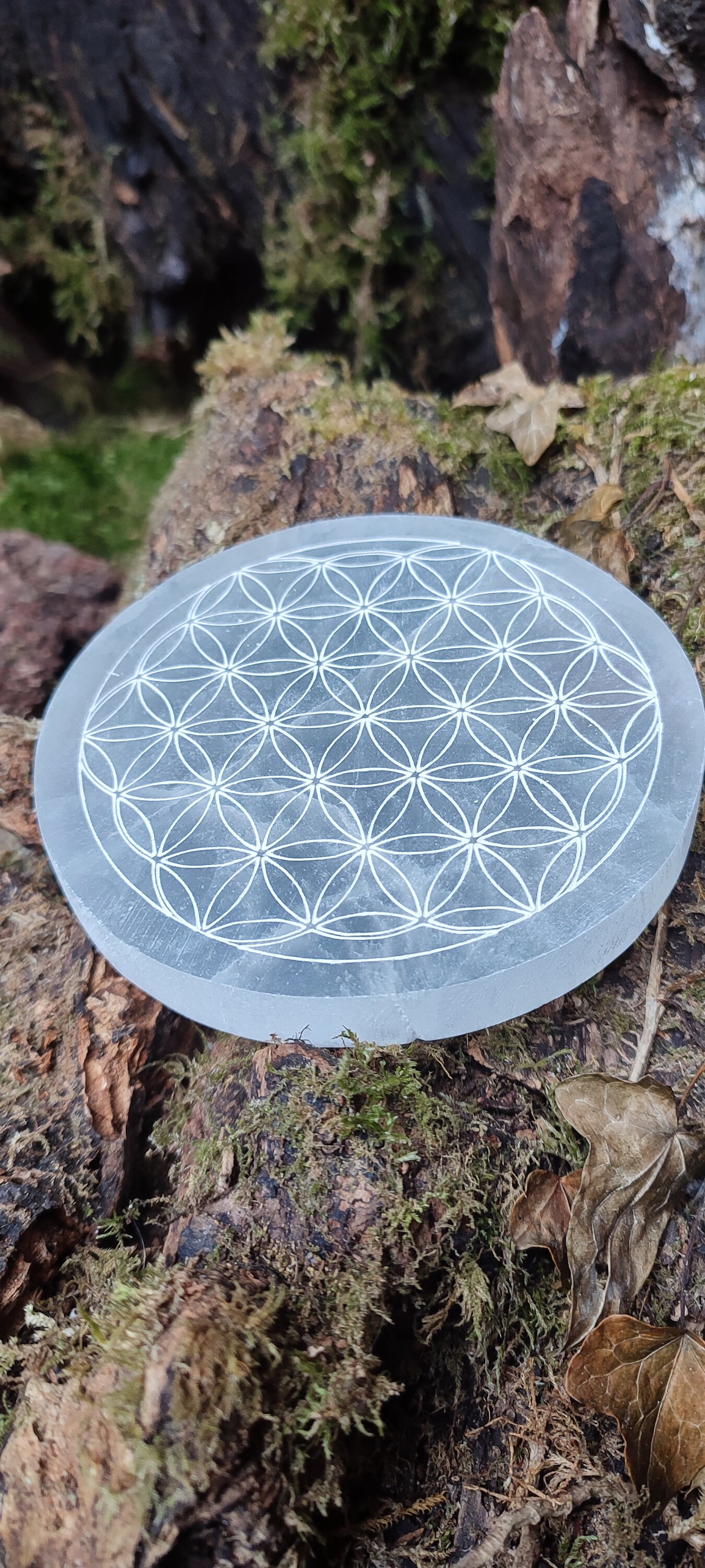 Disque sélénite fleur de vie 12 cm