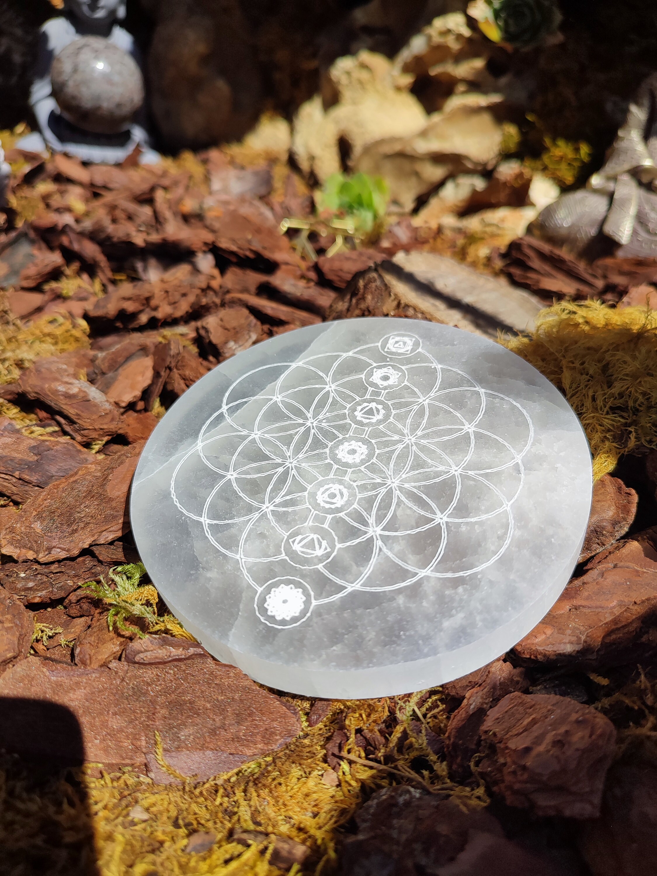 Disque de Sélénite graîne de vie et 7 chakras 12cm