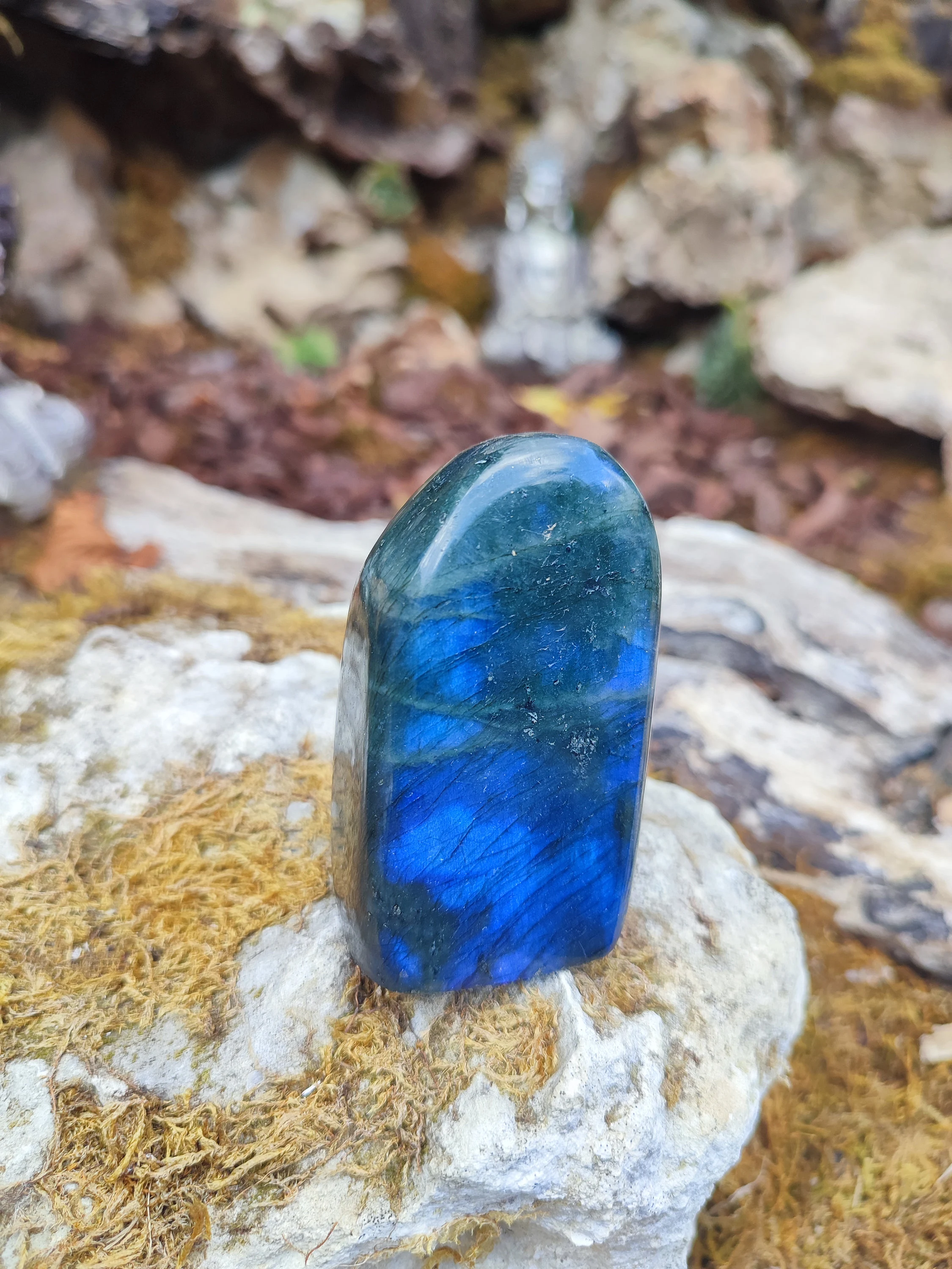 Labradorite forme libre