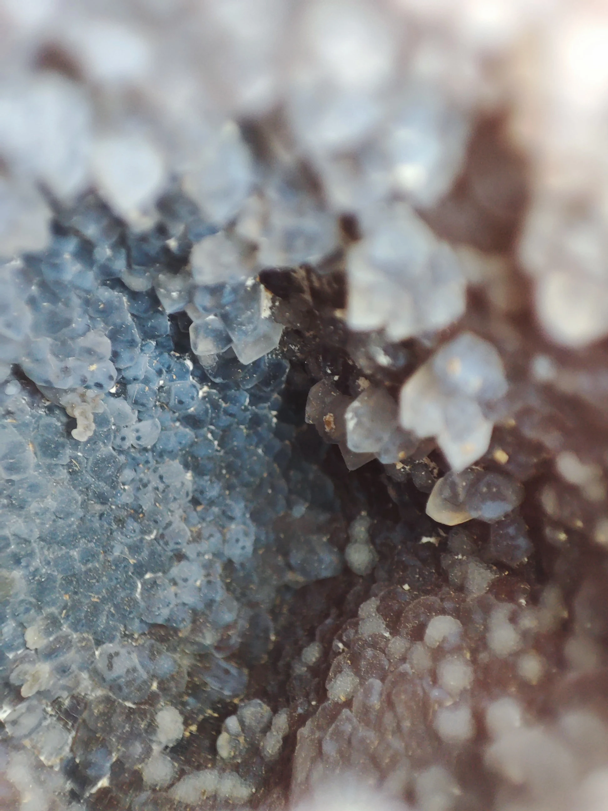 Géode entière d'Agate Orque avec socle
