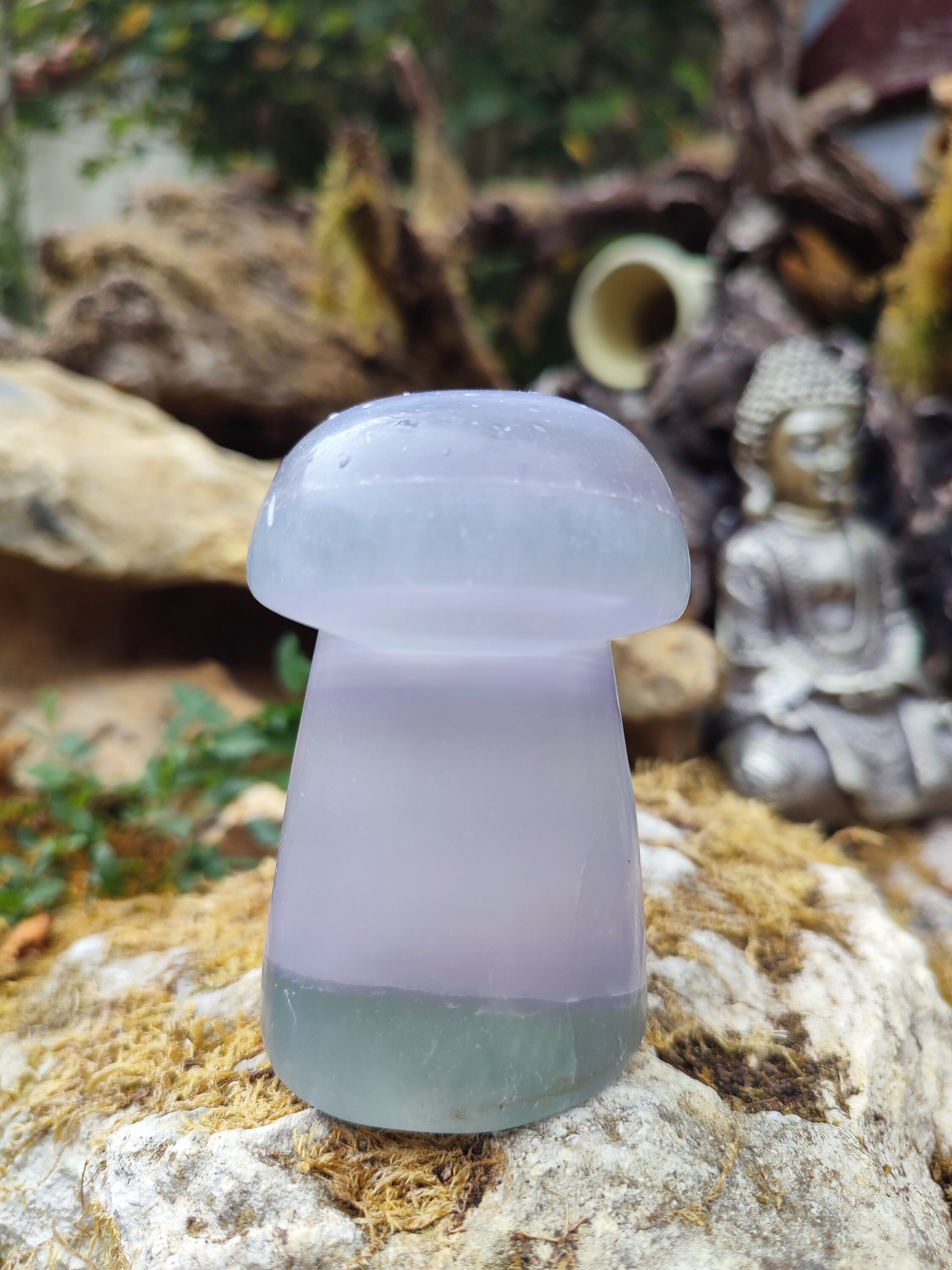 Champignon de Fluorite