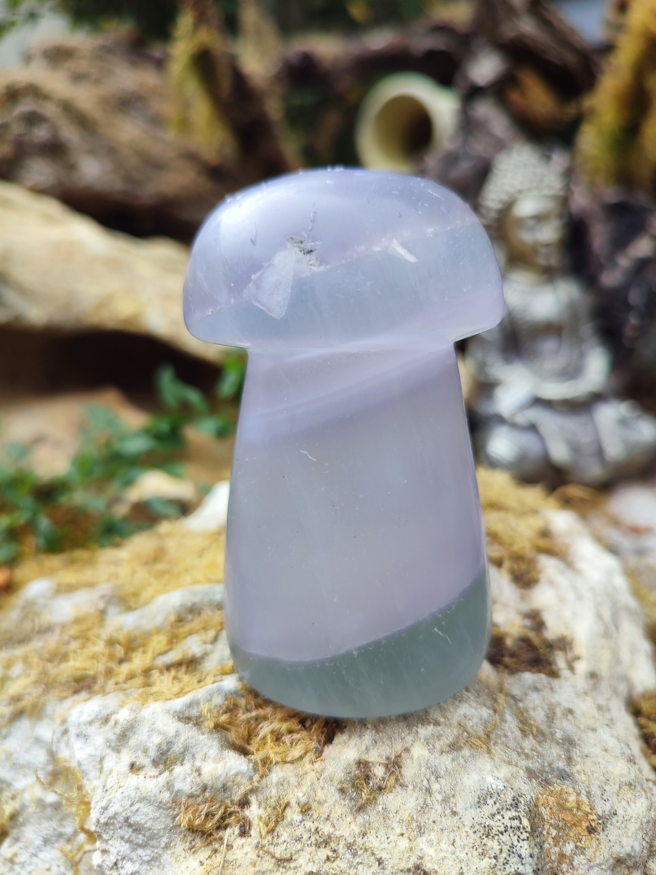 Champignon de Fluorite