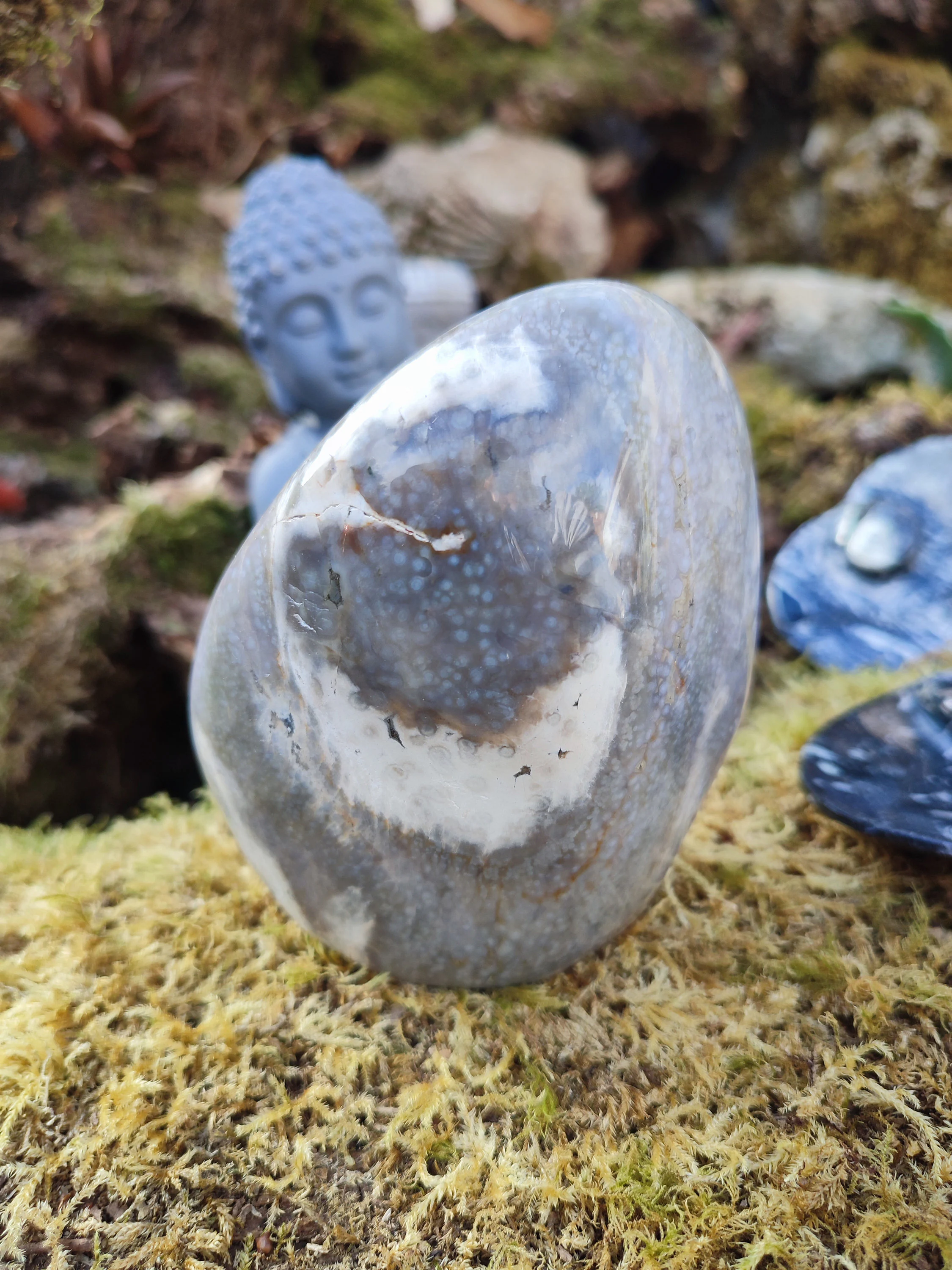 Forme libre de Jaspe océan