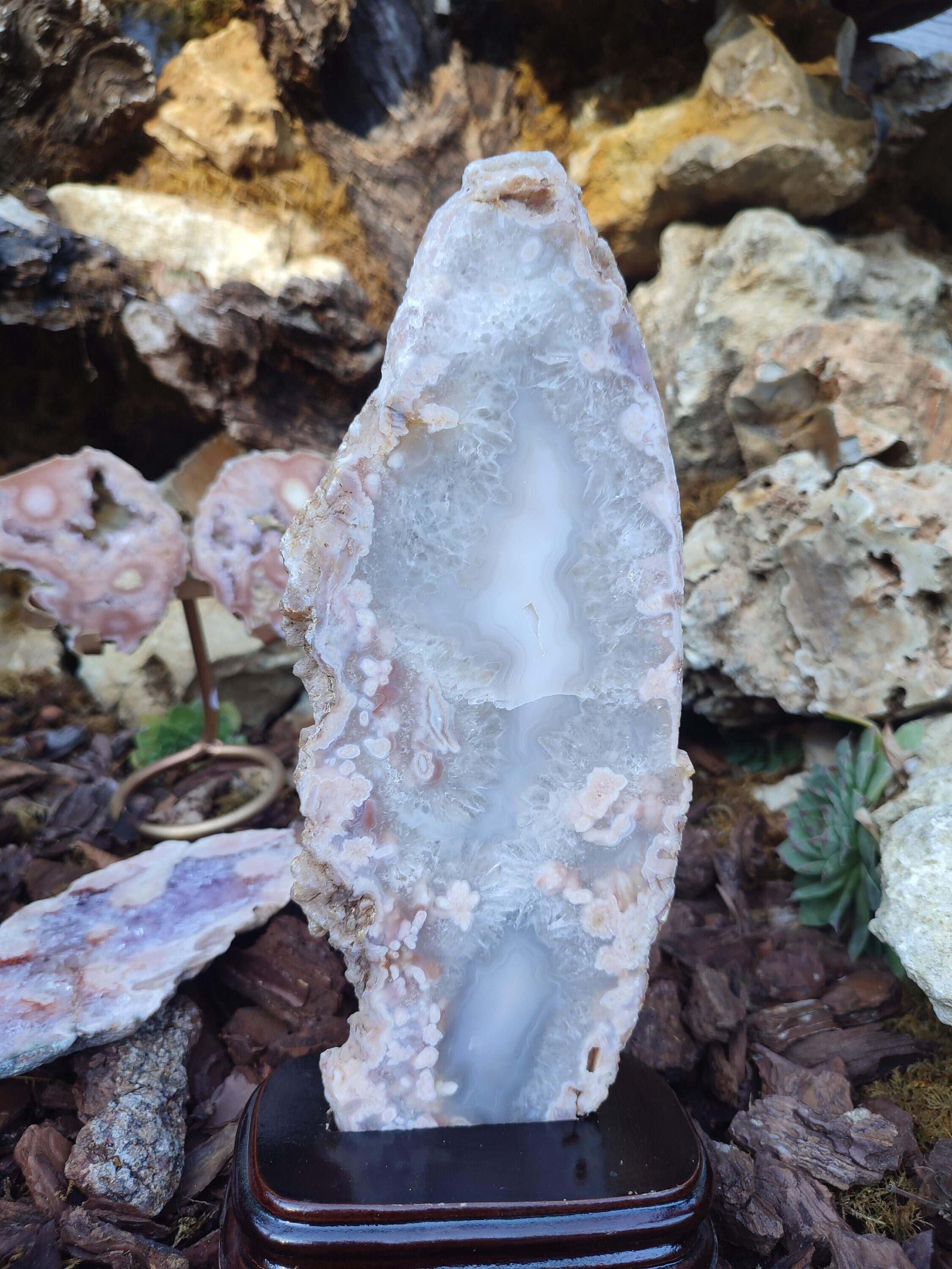 Tranche D'Améthyste rose et d'Agate fleur avec socle