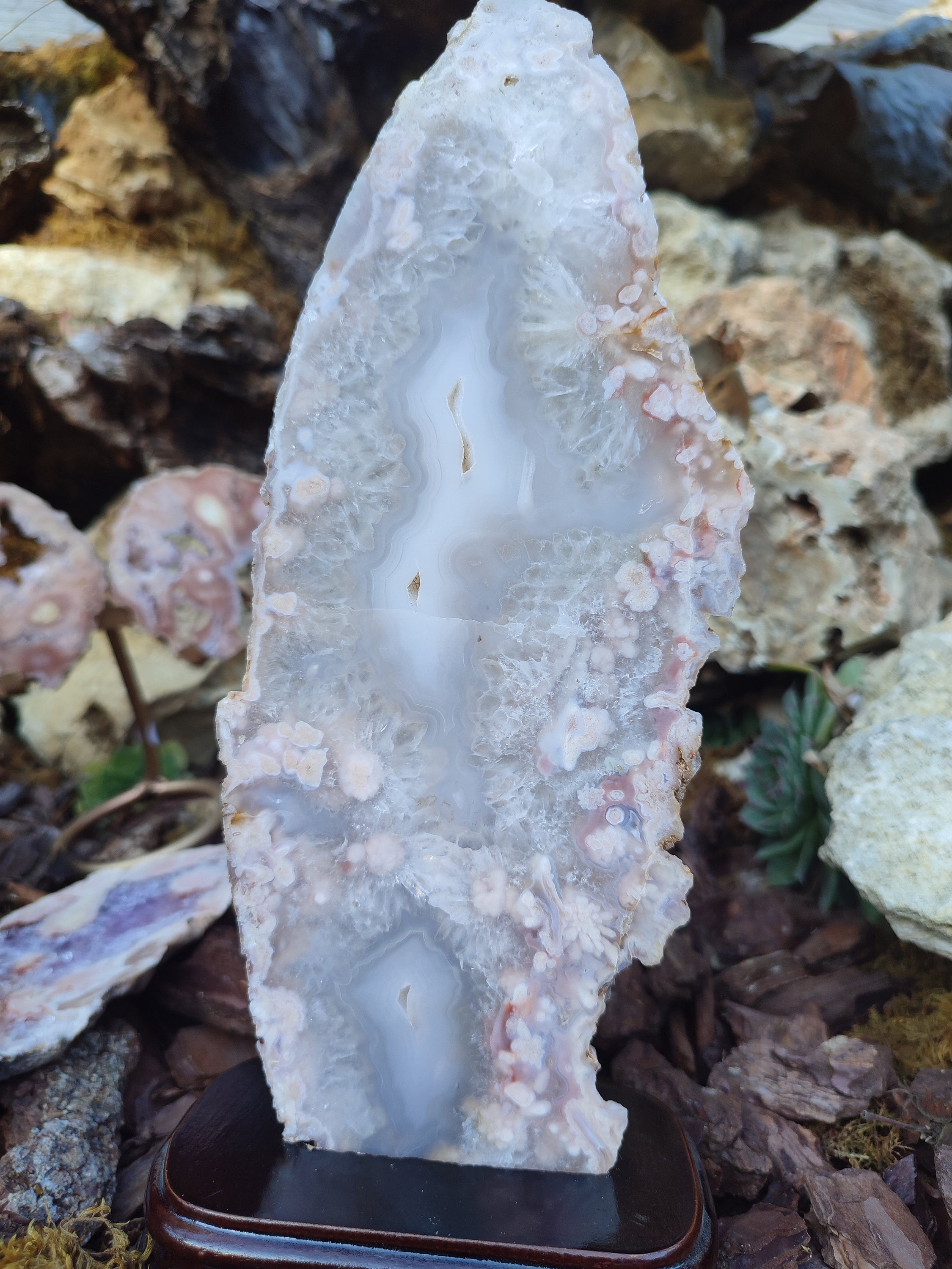 Tranche D'Améthyste rose et d'Agate fleur avec socle