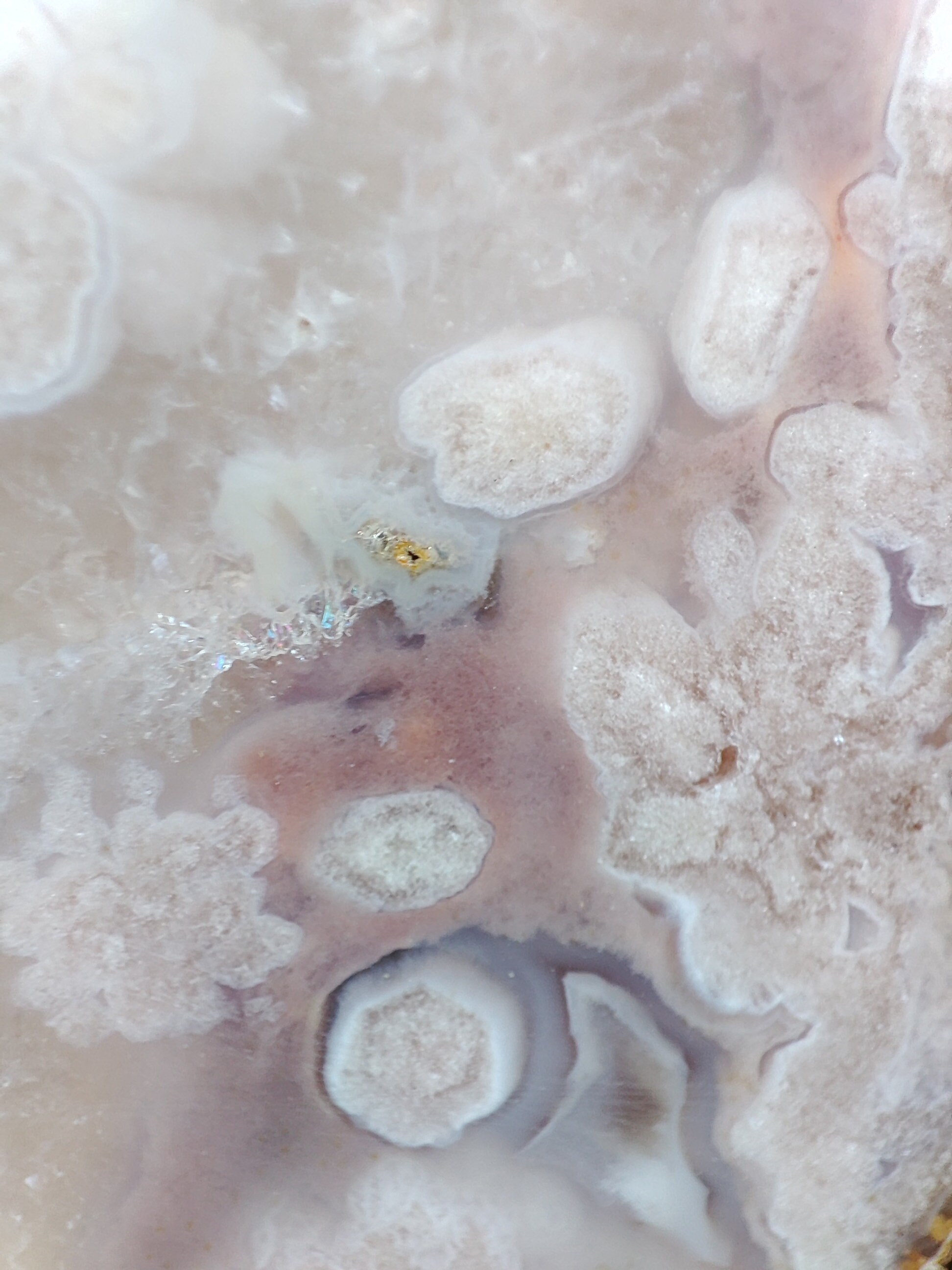 Tranche D'Améthyste rose et d'Agate fleur avec socle