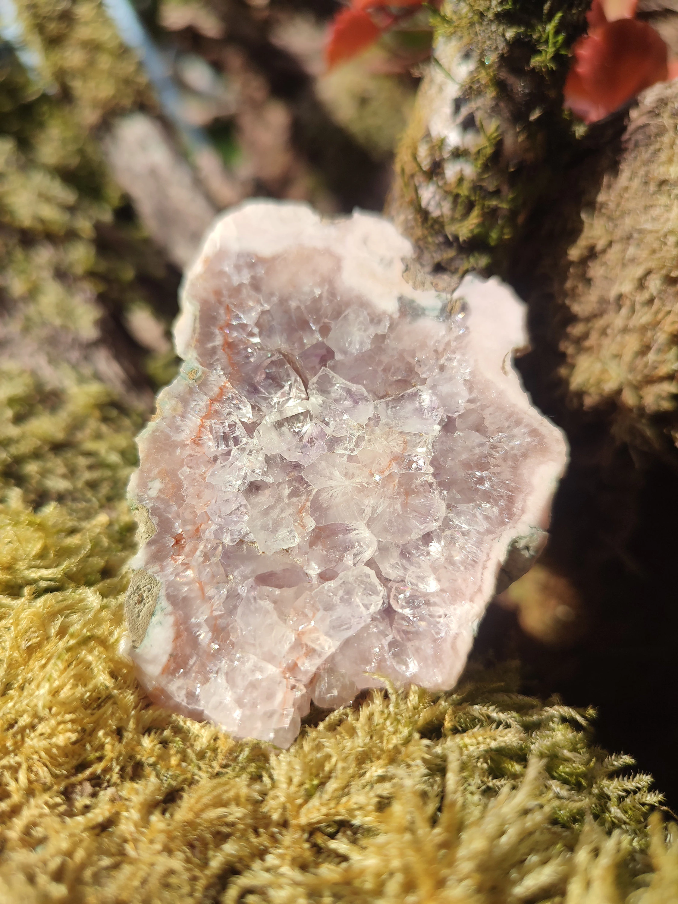 Tranche D'Améthyste rose et d'Agate fleur